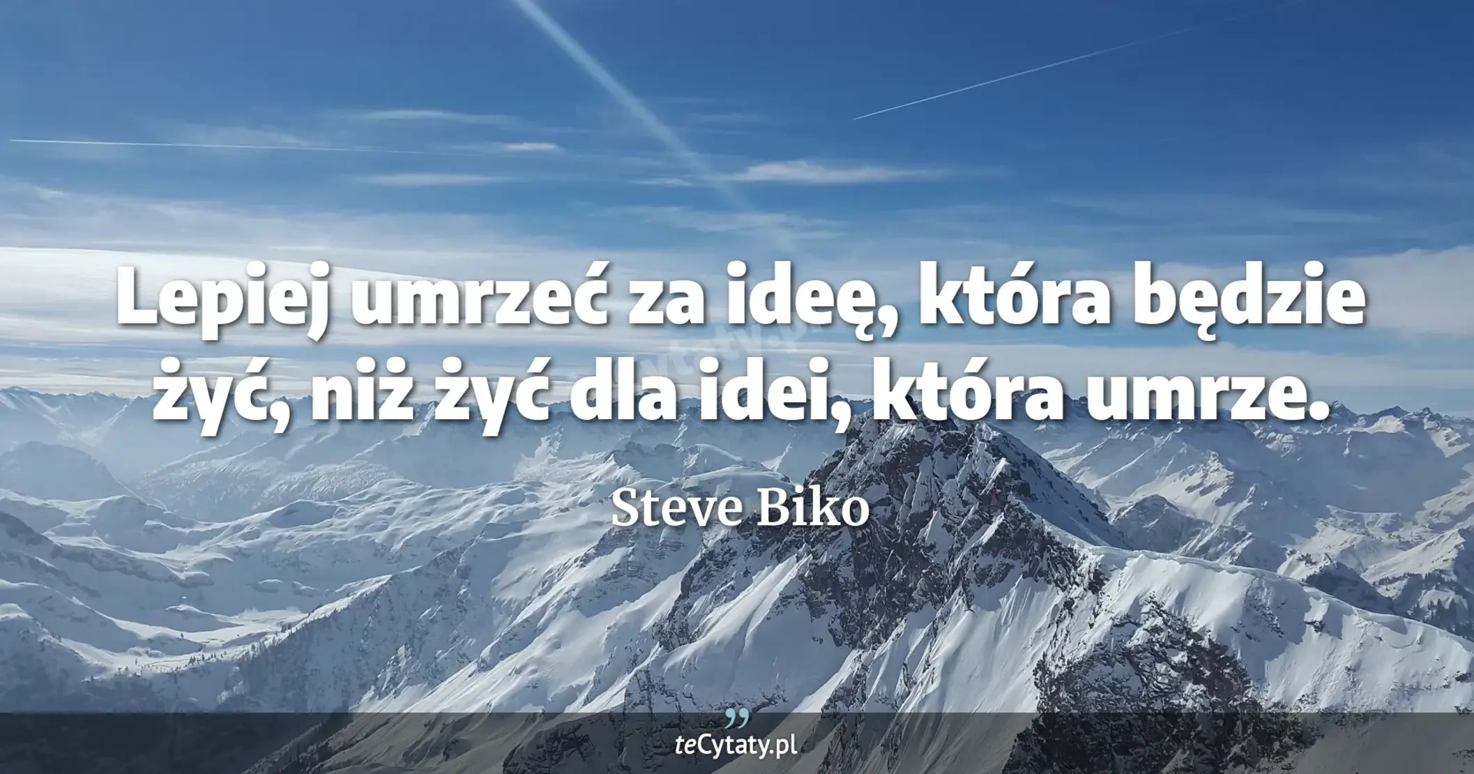 Lepiej umrzeć za ideę, która będzie żyć, niż żyć dla idei, która umrze. - Steve Biko