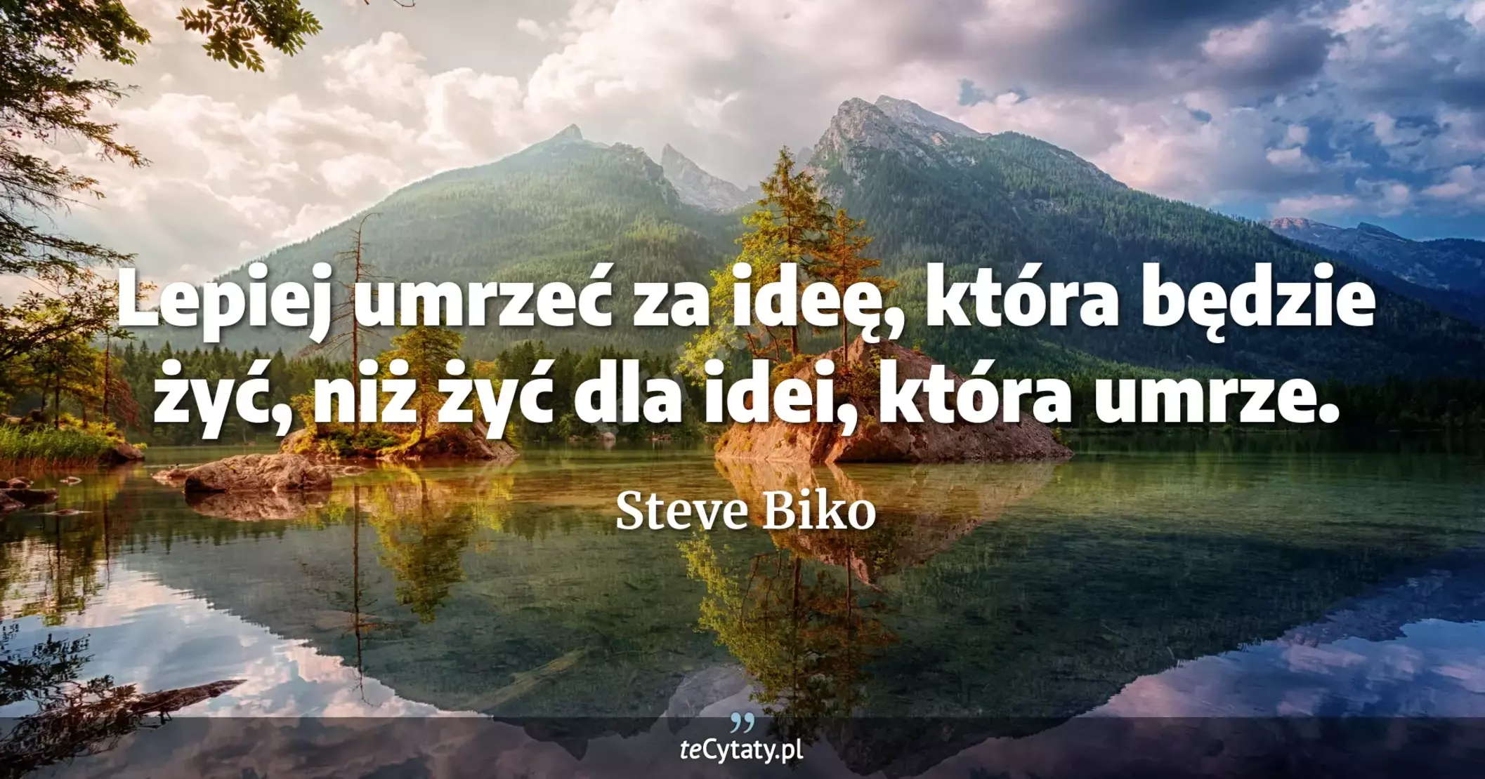 Lepiej umrzeć za ideę, która będzie żyć, niż żyć dla idei, która umrze. - Steve Biko