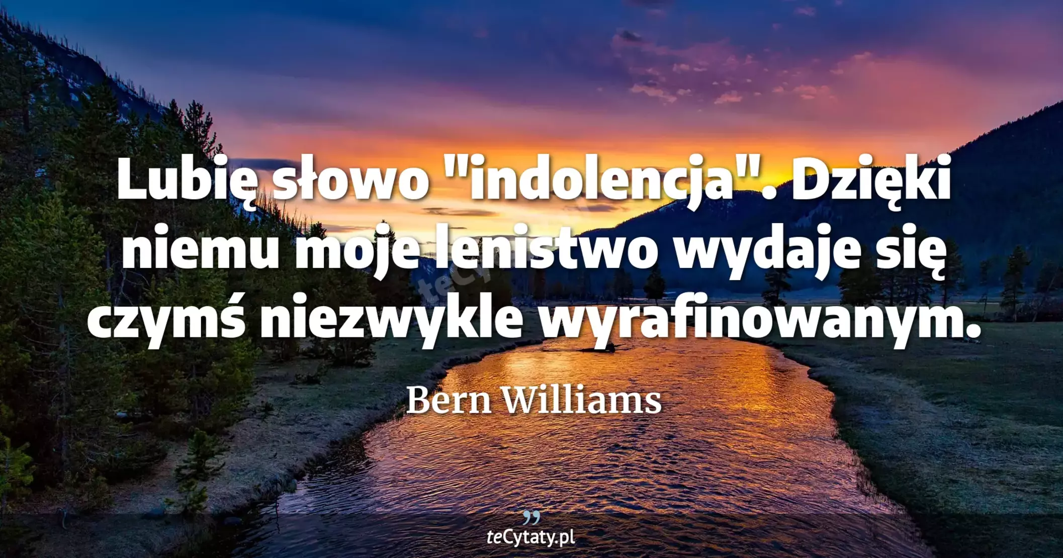 Lubię słowo "indolencja". Dzięki niemu moje lenistwo wydaje się czymś niezwykle wyrafinowanym. - Bern Williams