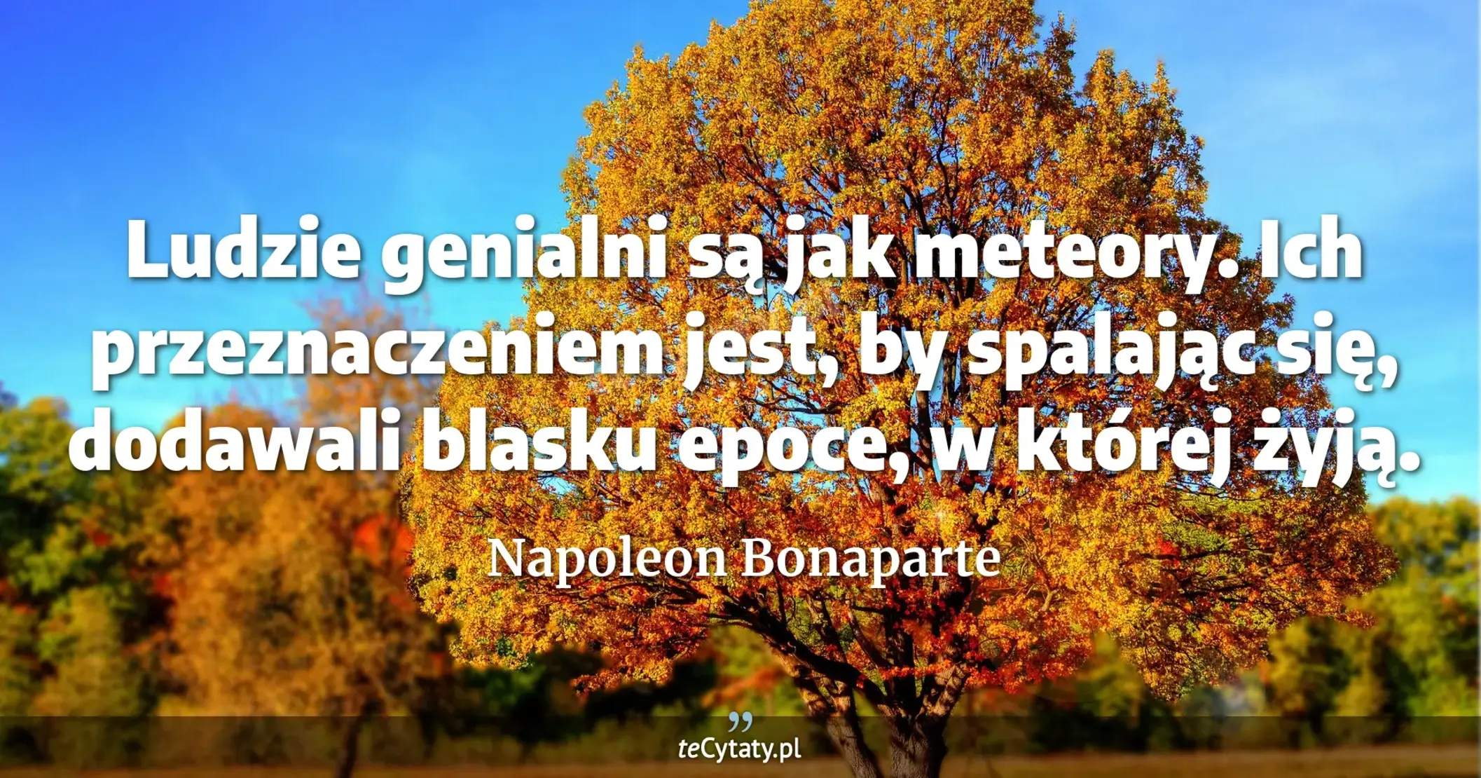 Ludzie genialni są jak meteory. Ich przeznaczeniem jest, by spalając się, dodawali blasku epoce, w której żyją. - Napoleon Bonaparte
