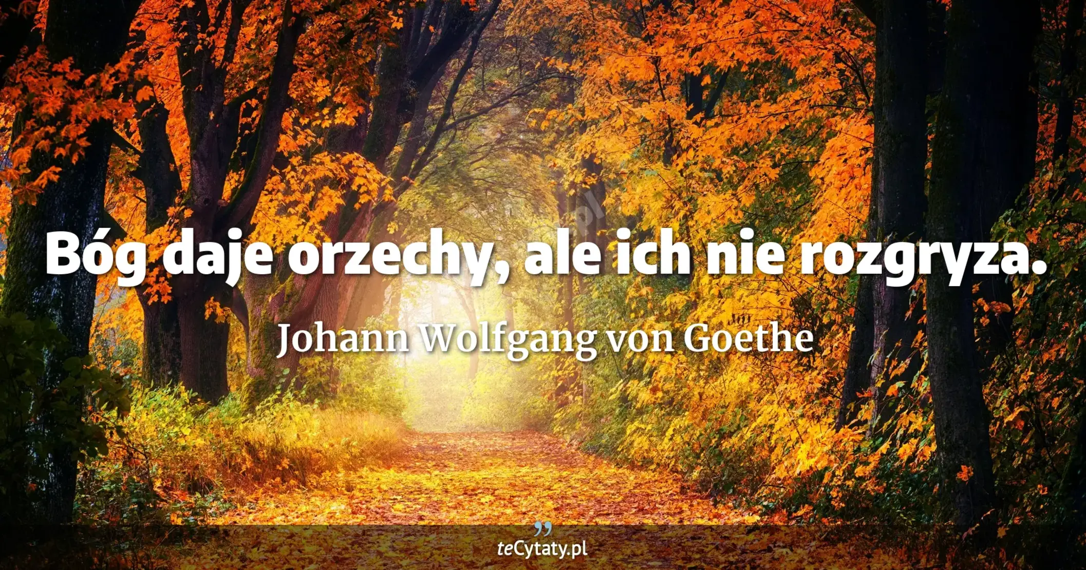 Bóg daje orzechy, ale ich nie rozgryza. - Johann Wolfgang von Goethe