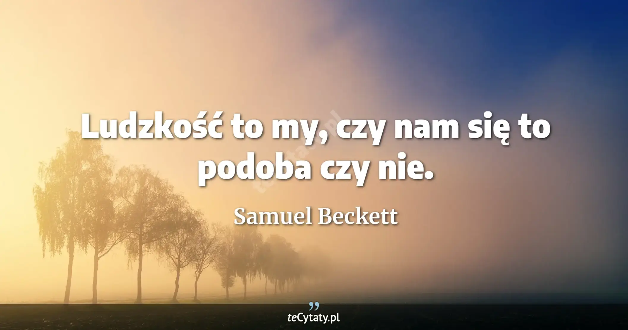 Ludzkość to my, czy nam się to podoba czy nie. - Samuel Beckett