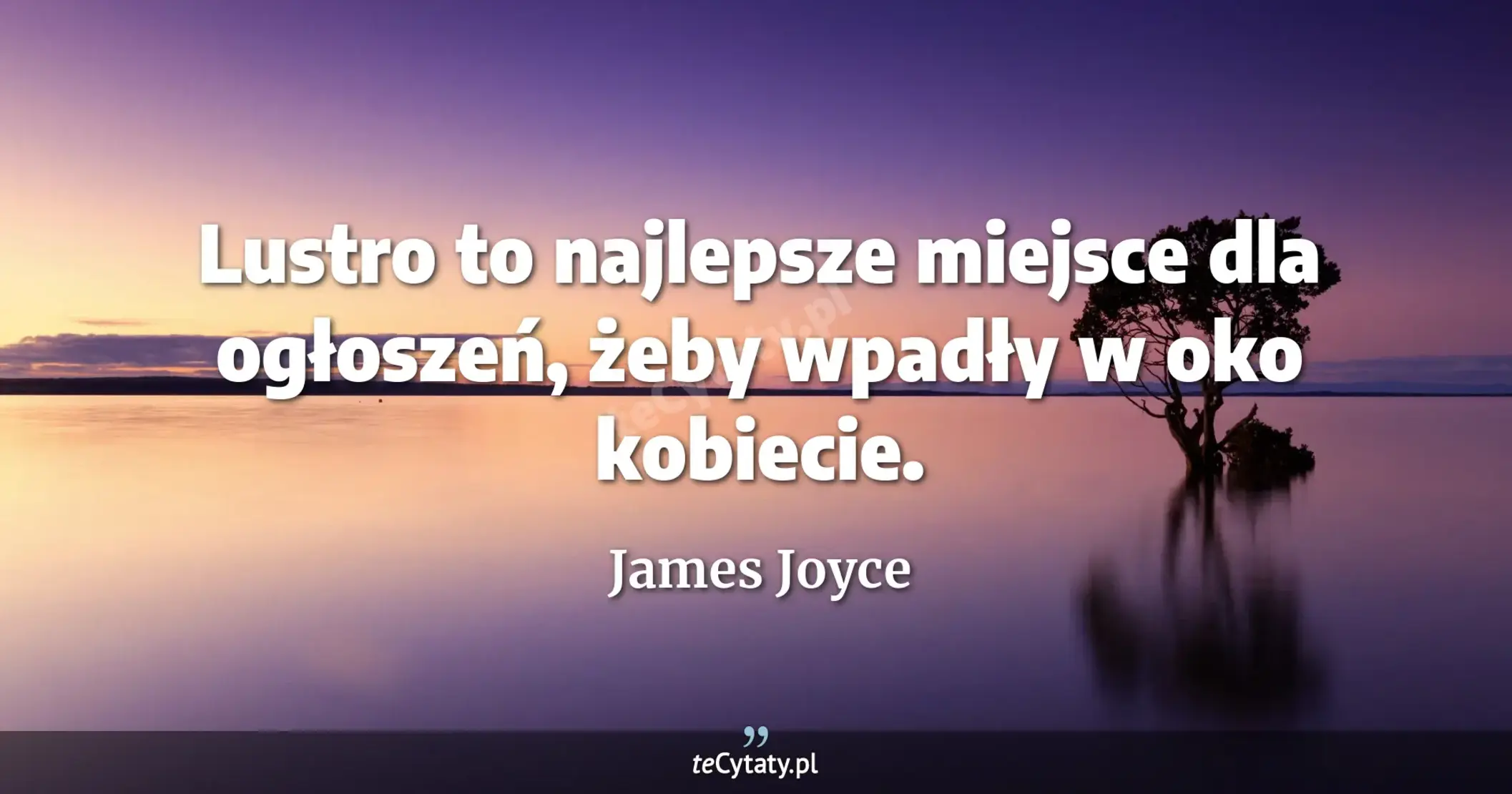 Lustro to najlepsze miejsce dla ogłoszeń, żeby wpadły w oko kobiecie. - James Joyce