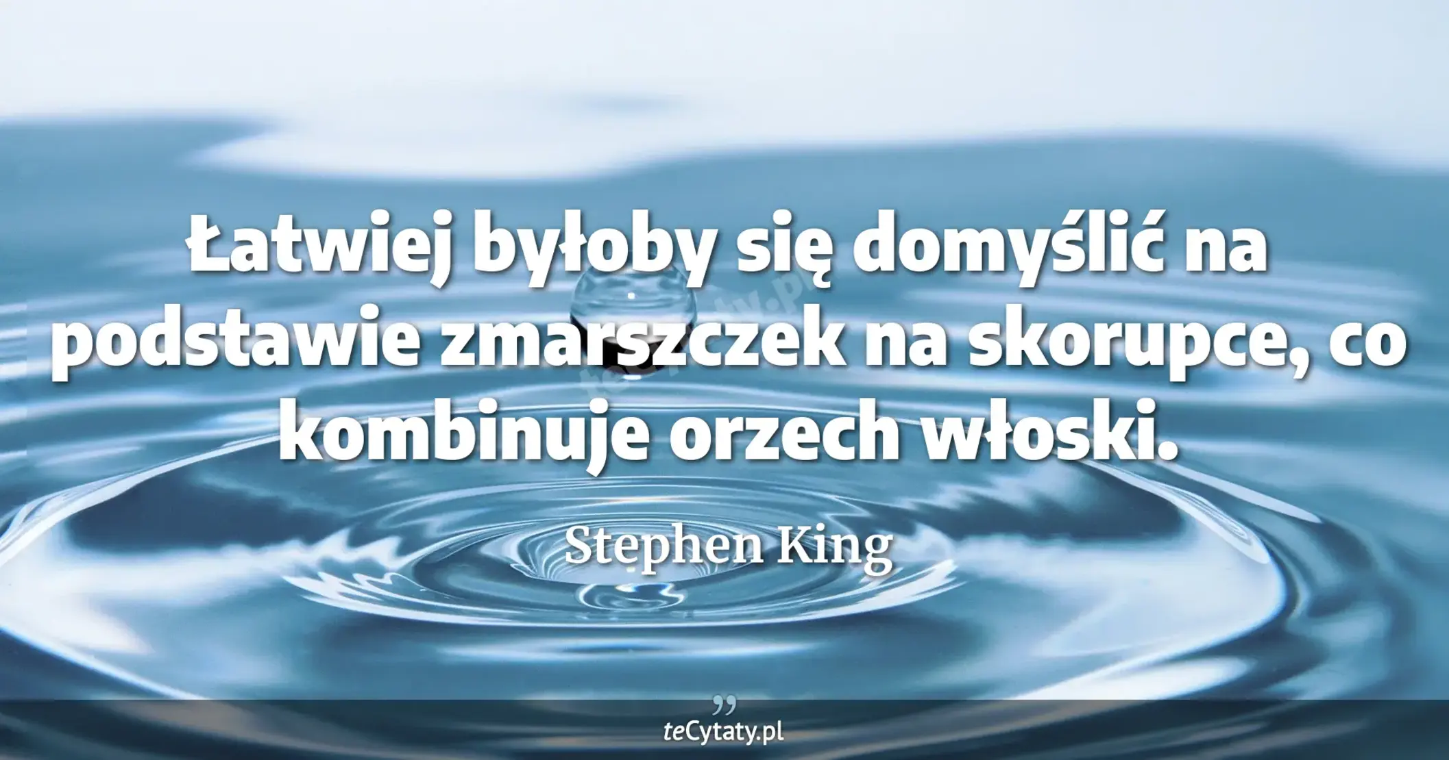 Łatwiej byłoby się domyślić na podstawie zmarszczek na skorupce, co kombinuje orzech włoski. - Stephen King