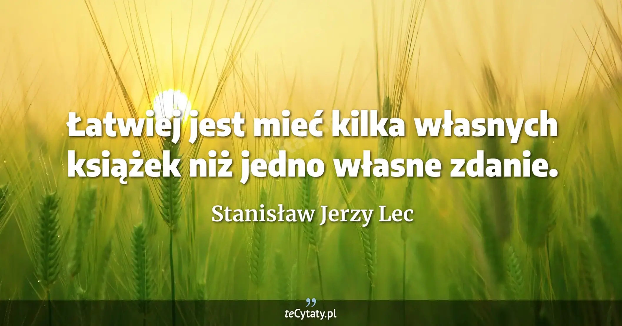 Łatwiej jest mieć kilka własnych książek niż jedno własne zdanie. - Stanisław Jerzy Lec