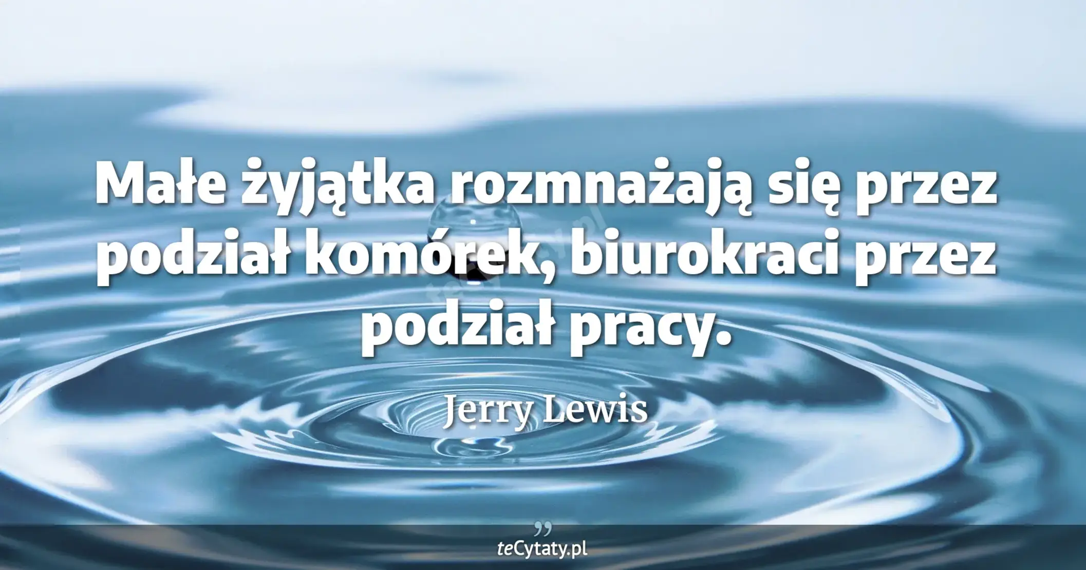 Małe żyjątka rozmnażają się przez podział komórek, biurokraci przez podział pracy. - Jerry Lewis