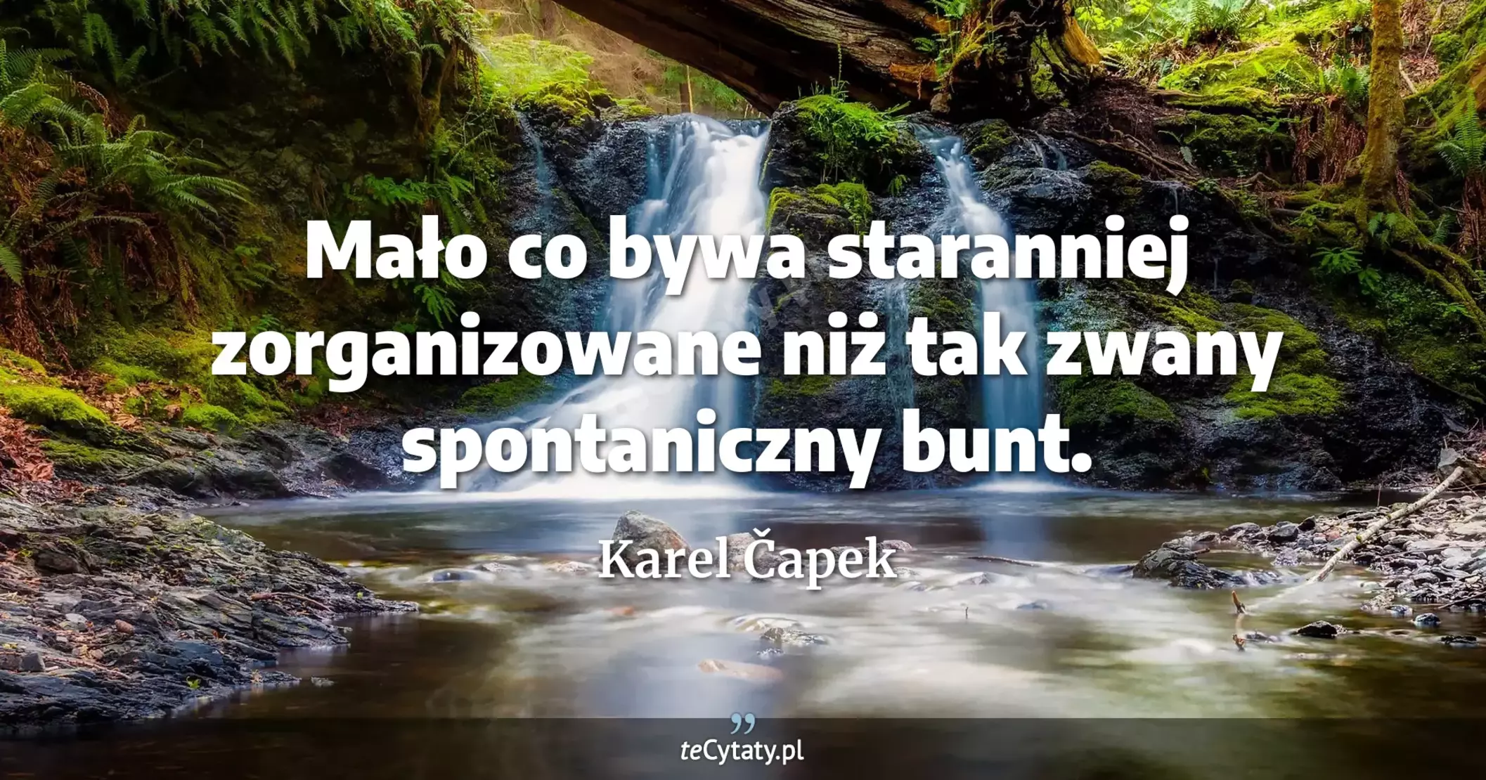 Mało co bywa staranniej zorganizowane niż tak zwany spontaniczny bunt. - Karel Čapek