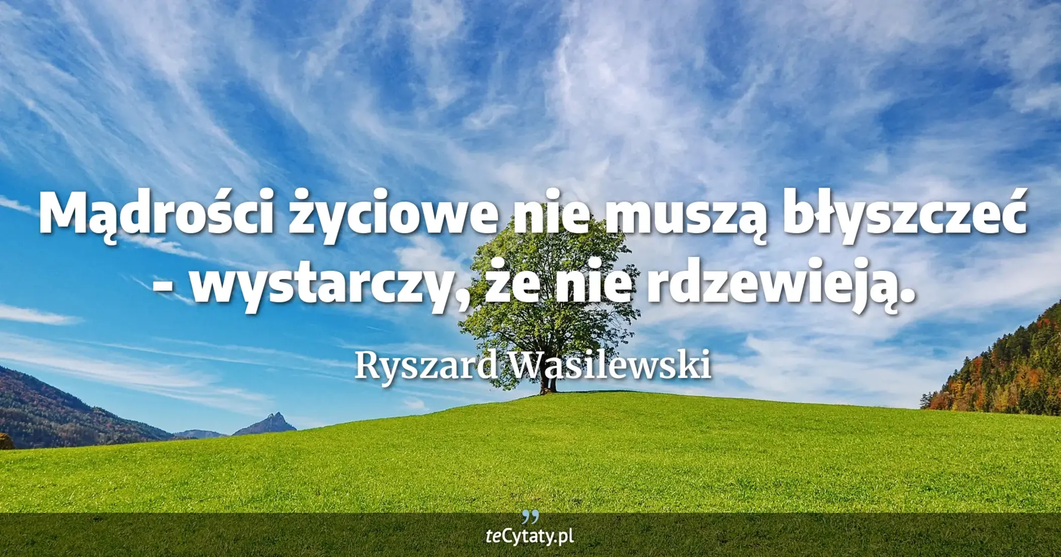 Mądrości życiowe nie muszą błyszczeć - wystarczy, że nie rdzewieją. - Ryszard Wasilewski