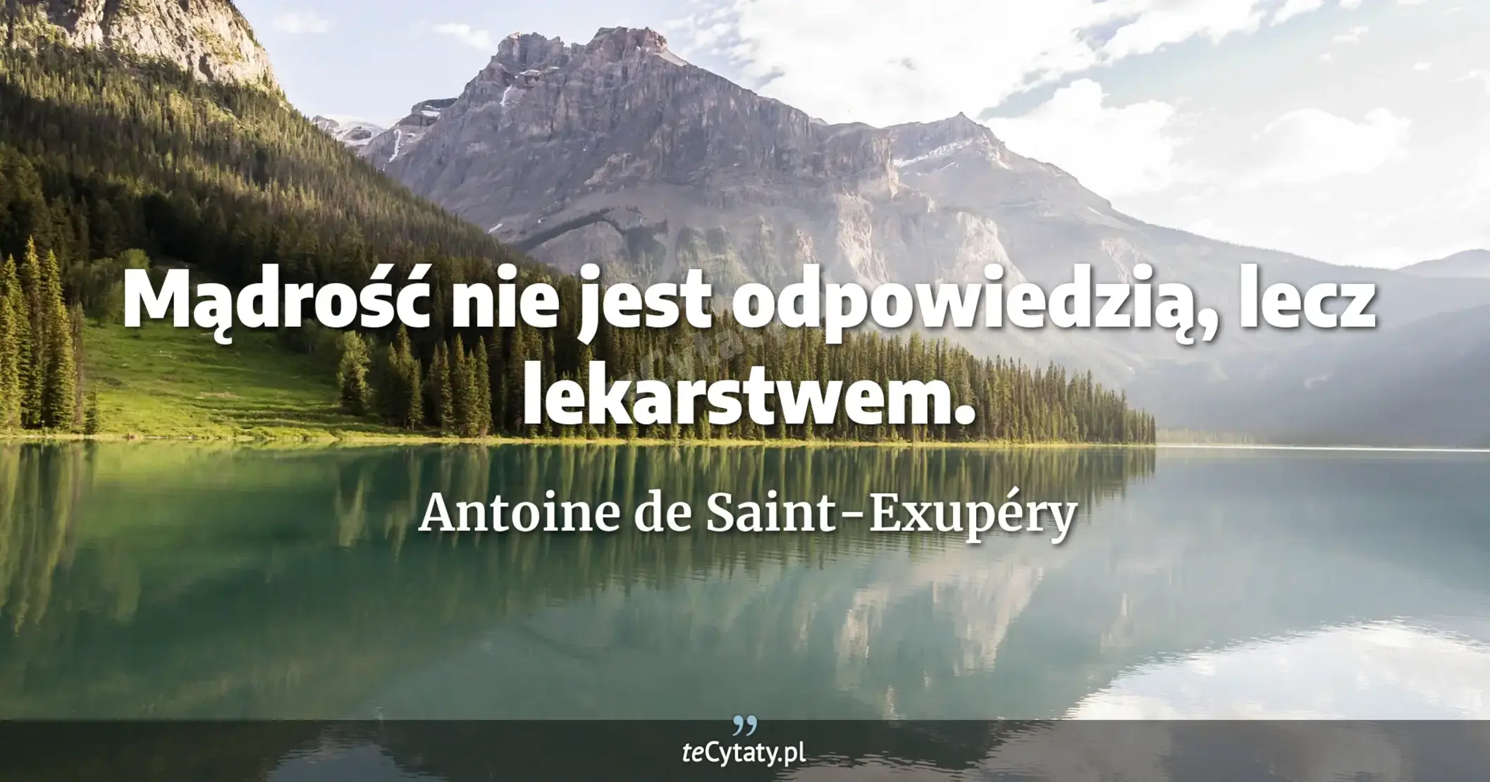 Mądrość nie jest odpowiedzią, lecz lekarstwem. - Antoine de Saint-Exupéry