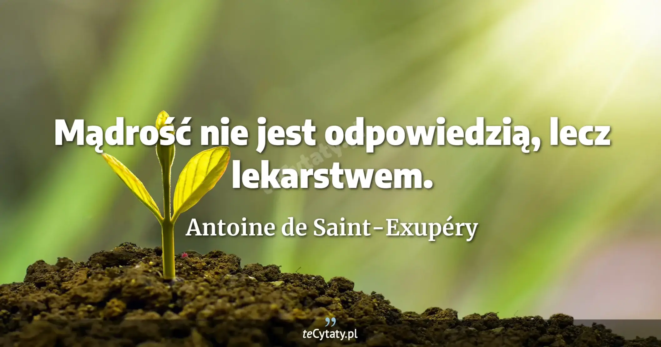 Mądrość nie jest odpowiedzią, lecz lekarstwem. - Antoine de Saint-Exupéry