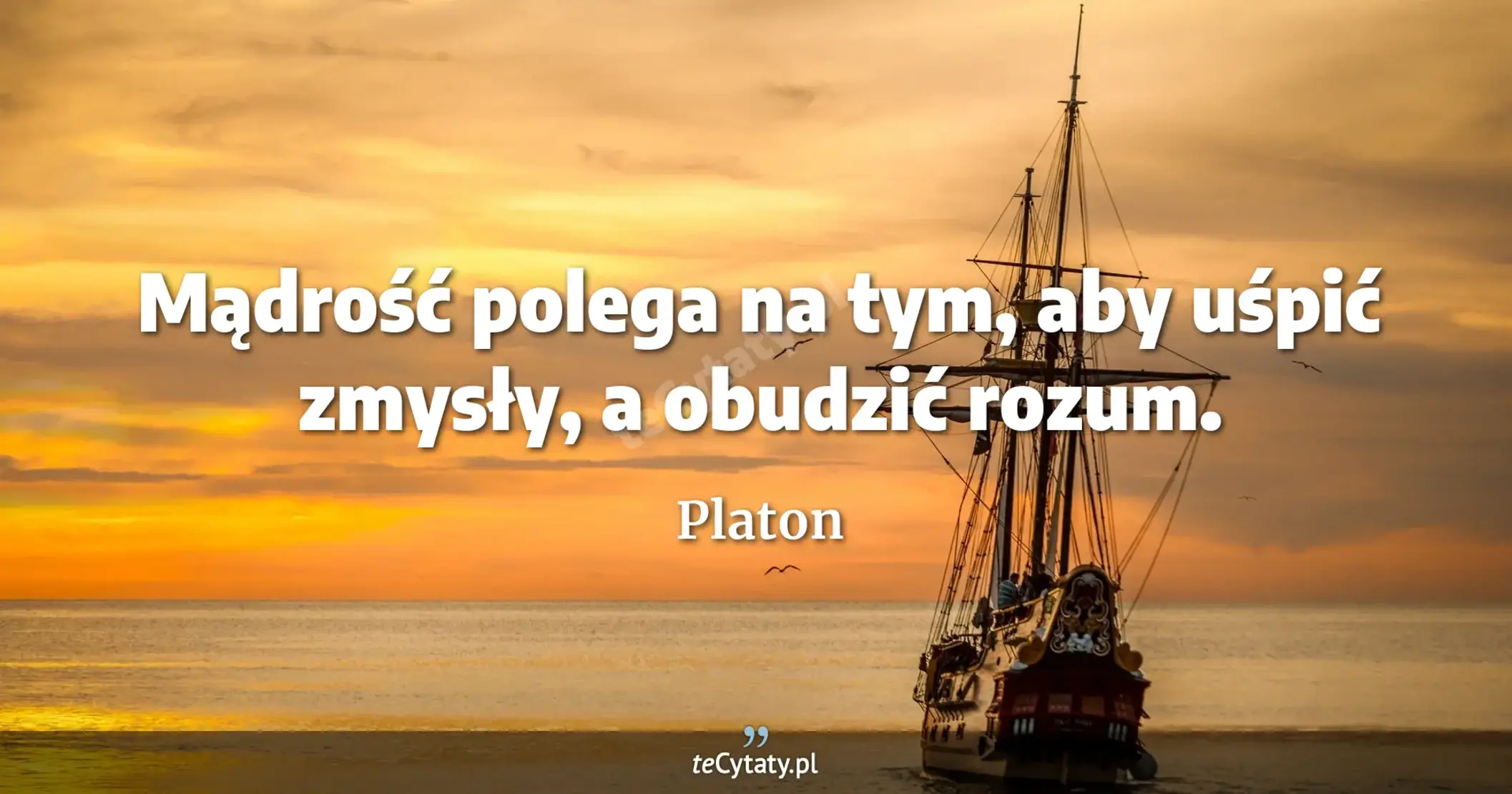 Mądrość polega na tym, aby uśpić zmysły, a obudzić rozum. - Platon