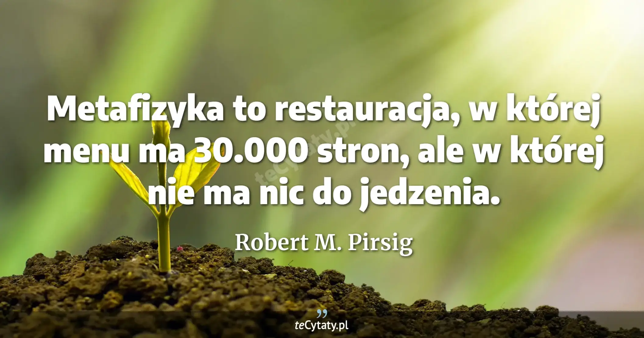 Metafizyka to restauracja, w której menu ma 30.000 stron, ale w której nie ma nic do jedzenia. - Robert M. Pirsig