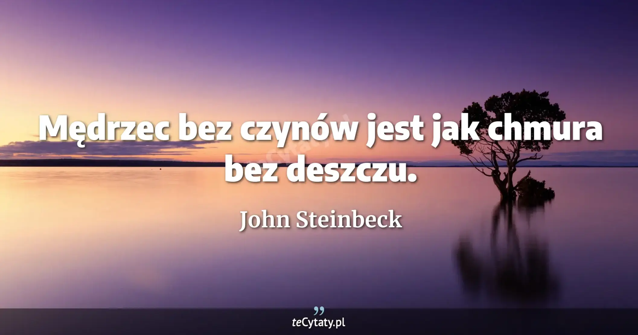 Mędrzec bez czynów jest jak chmura bez deszczu. - John Steinbeck