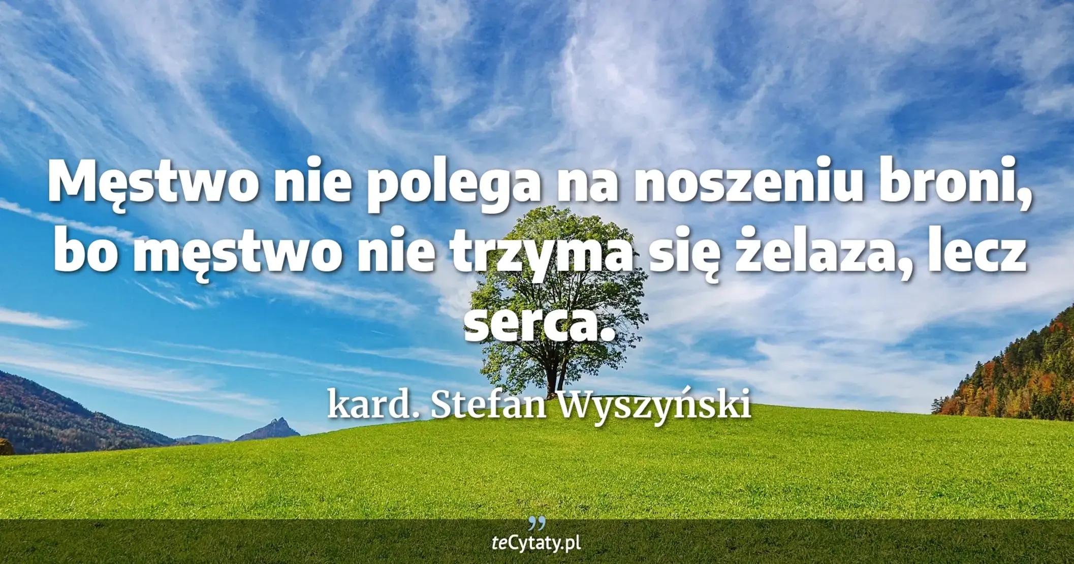 Męstwo nie polega na noszeniu broni, bo męstwo nie trzyma się żelaza, lecz serca. - kard. Stefan Wyszyński