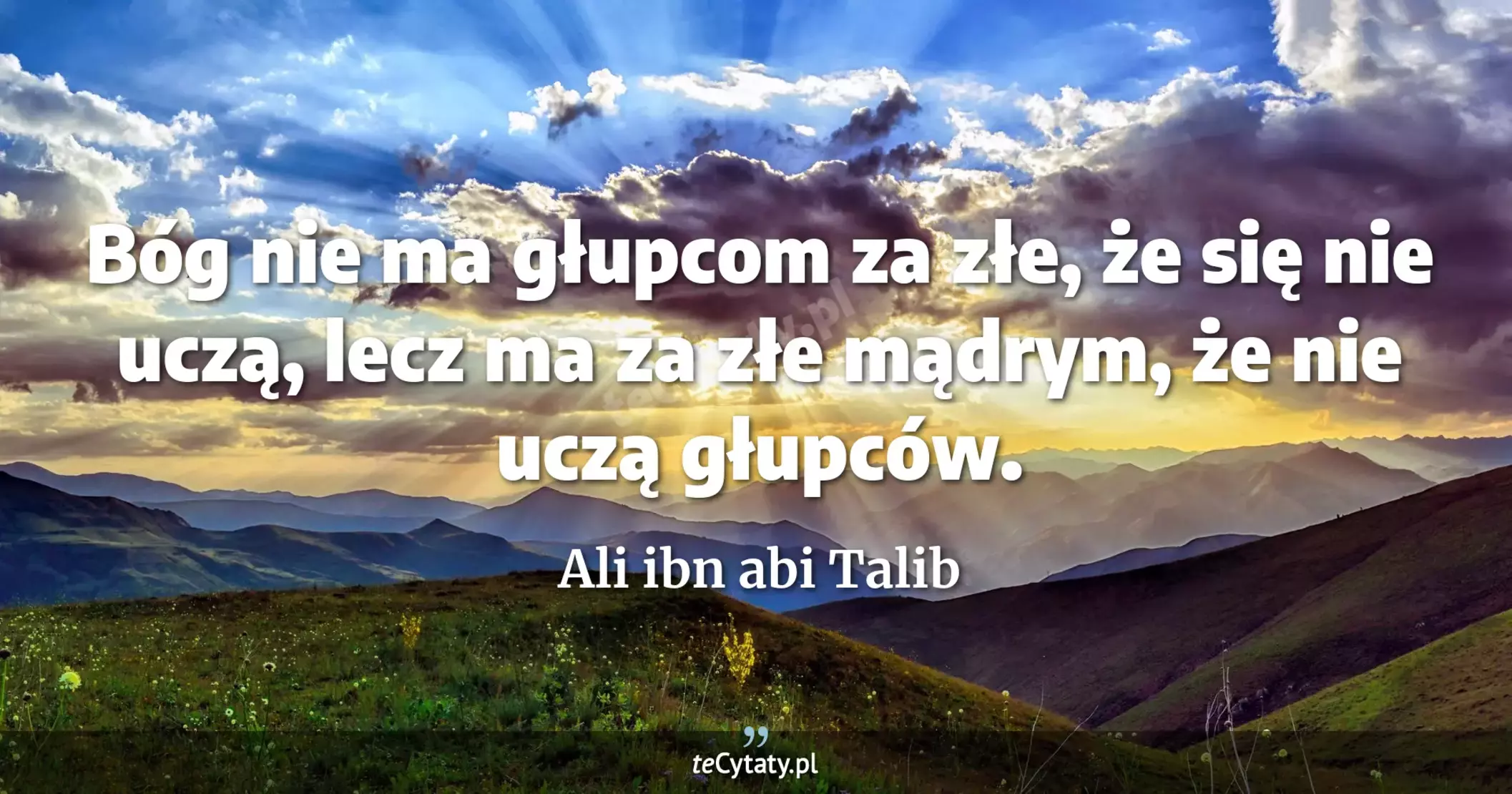 Bóg nie ma głupcom za złe, że się nie uczą, lecz ma za złe mądrym, że nie uczą głupców. - Ali ibn abi Talib