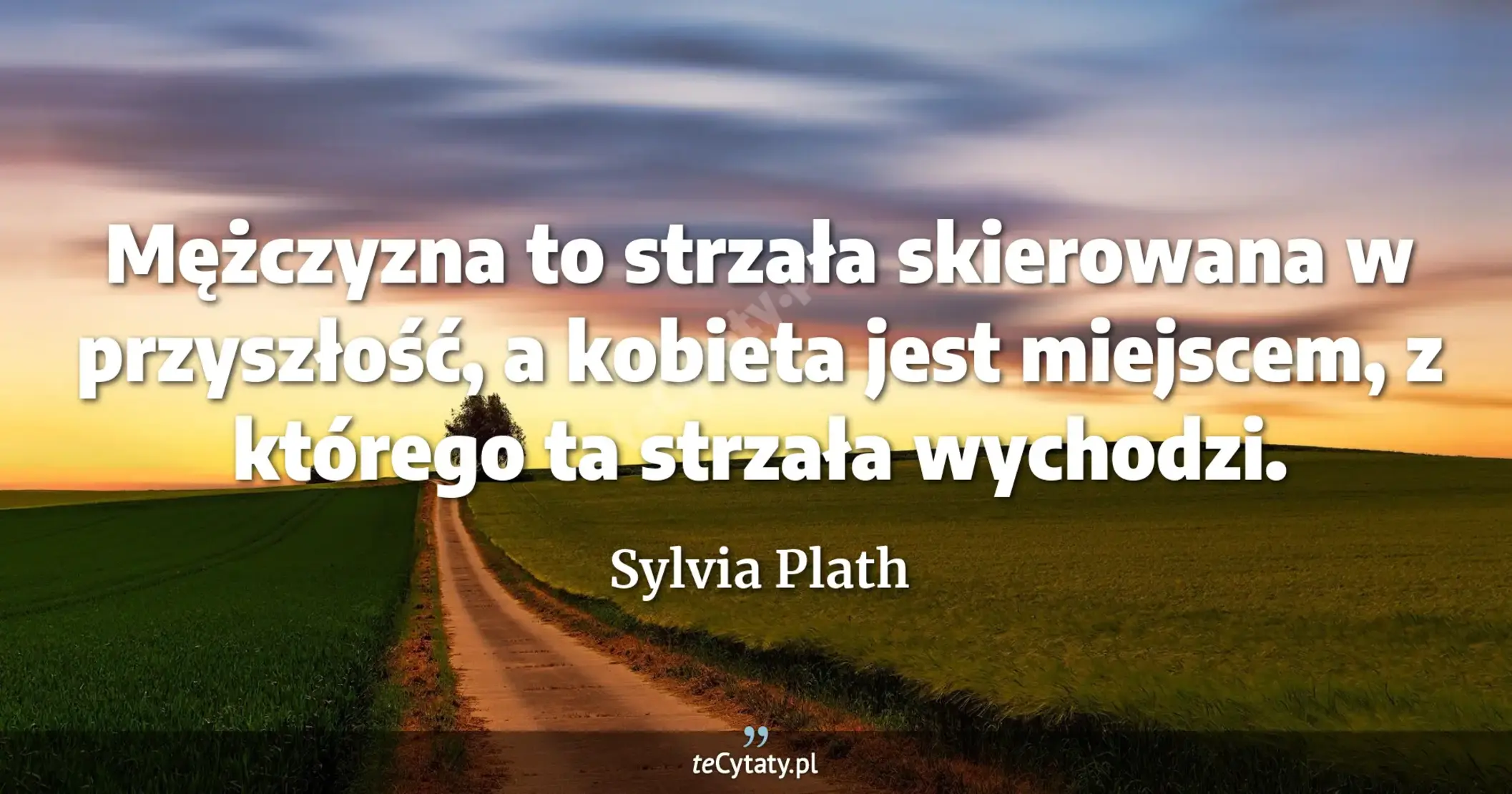 Mężczyzna to strzała skierowana w przyszłość, a kobieta jest miejscem, z którego ta strzała wychodzi. - Sylvia Plath