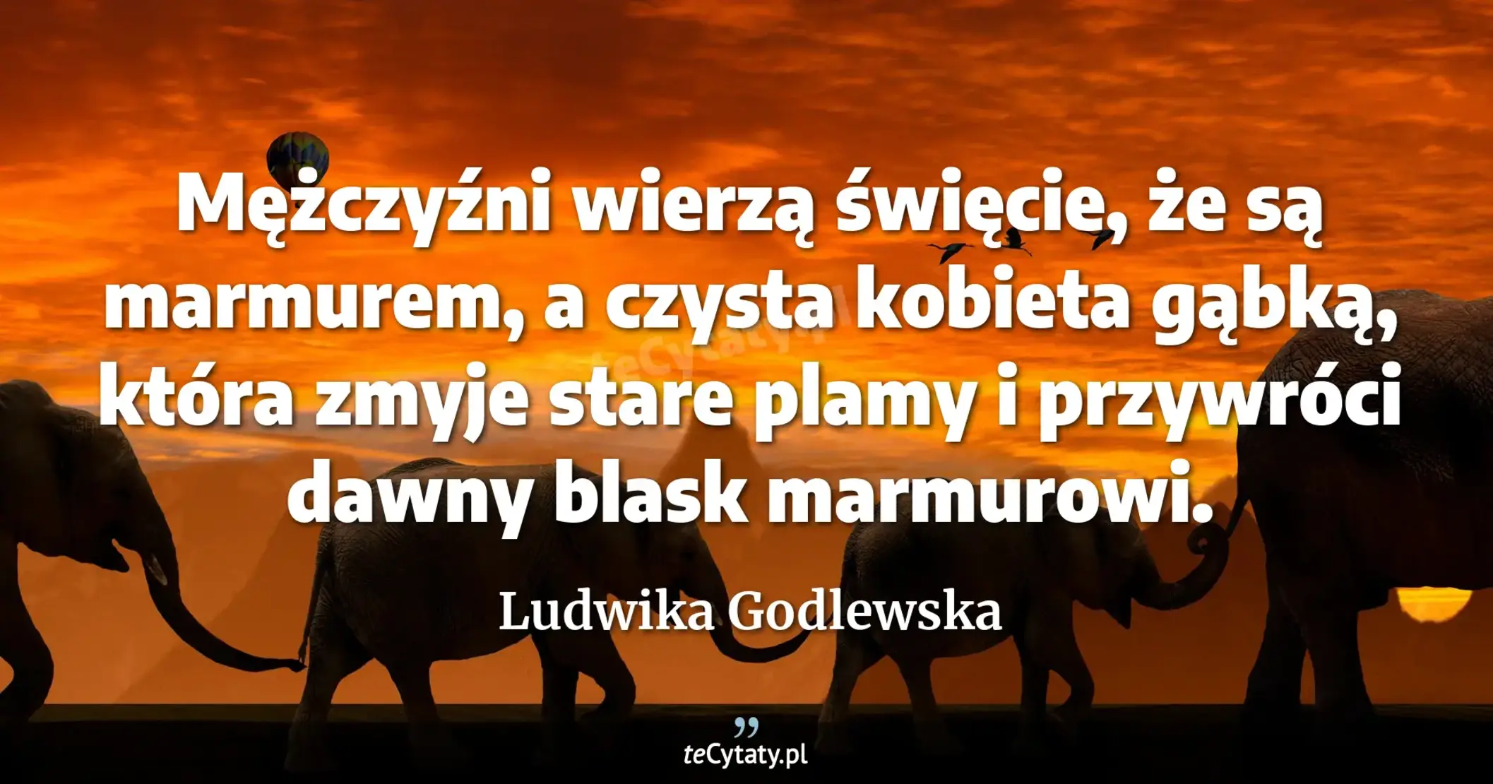 Mężczyźni wierzą święcie, że są marmurem, a czysta kobieta gąbką, która zmyje stare plamy i przywróci dawny blask marmurowi. - Ludwika Godlewska