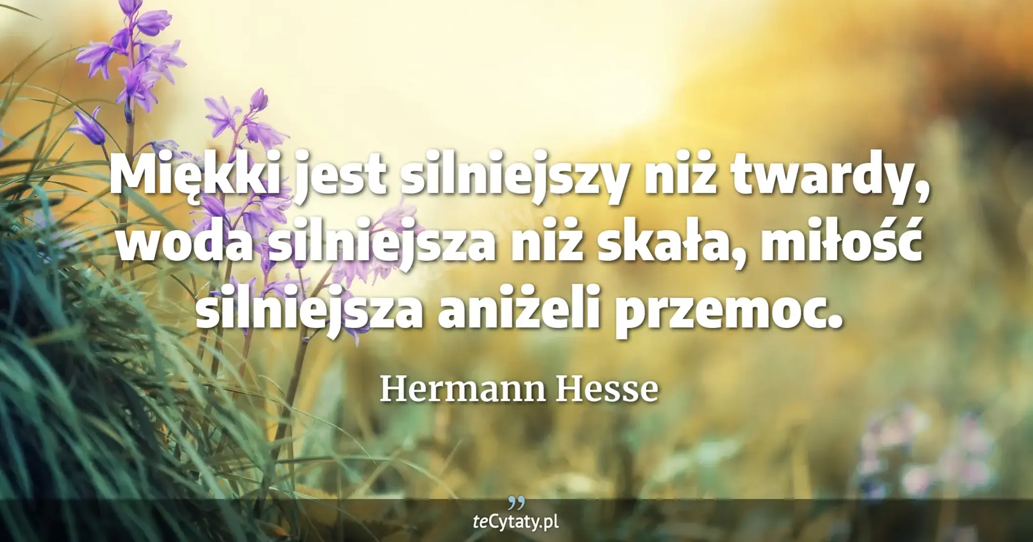 Miękki jest silniejszy niż twardy, woda silniejsza niż skała, miłość silniejsza aniżeli przemoc. - Hermann Hesse