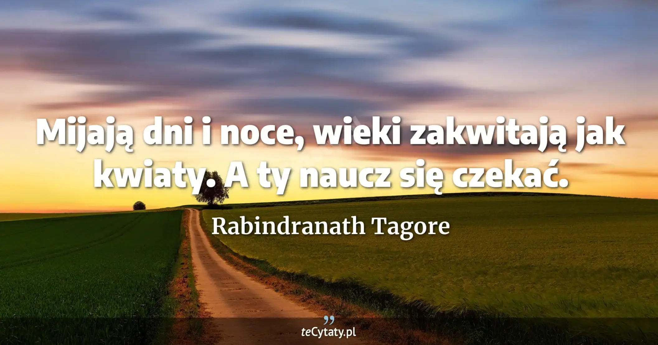 Mijają dni i noce, wieki zakwitają jak kwiaty. A ty naucz się czekać. - Rabindranath Tagore
