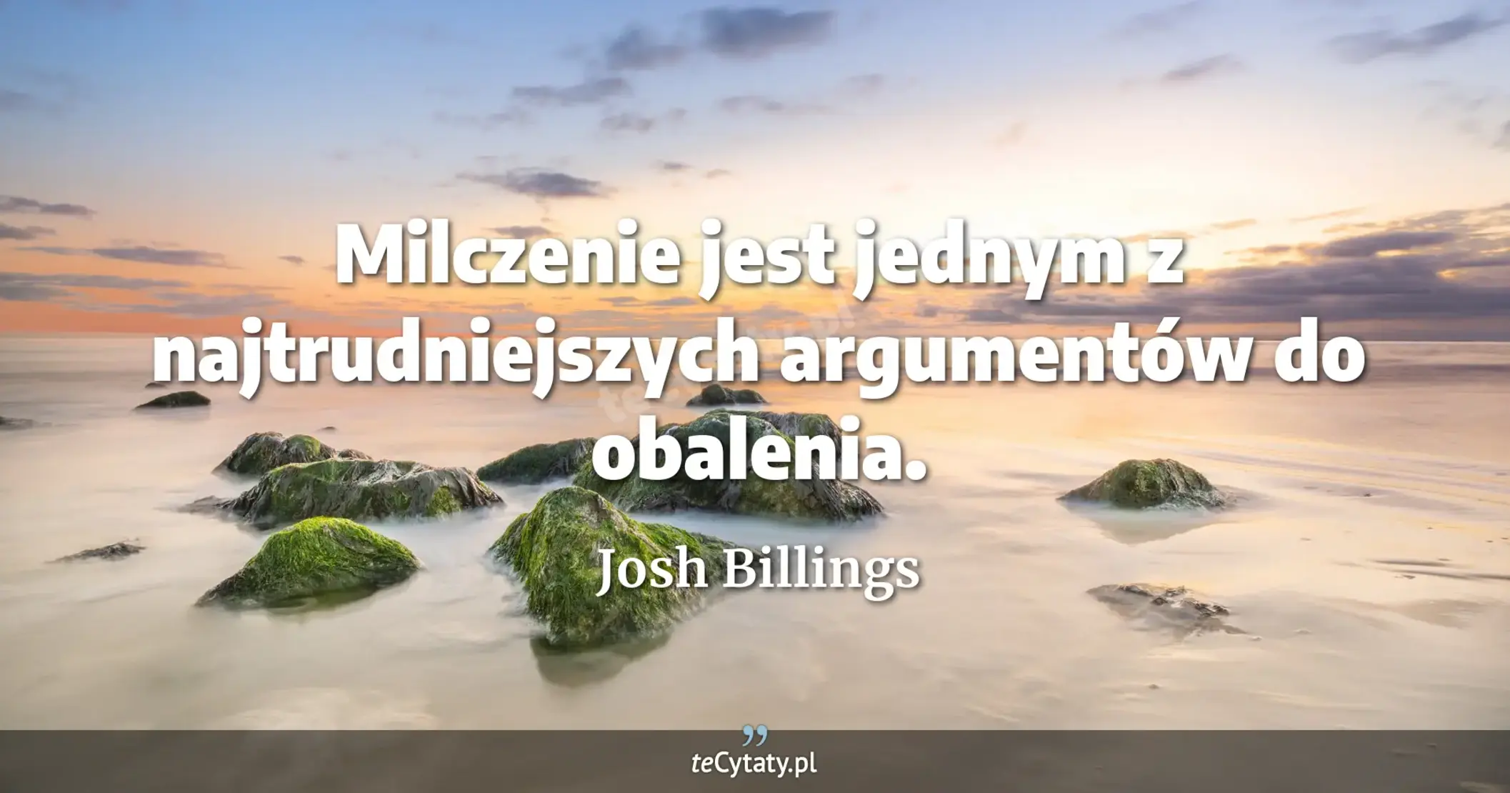 Milczenie jest jednym z najtrudniejszych argumentów do obalenia. - Josh Billings