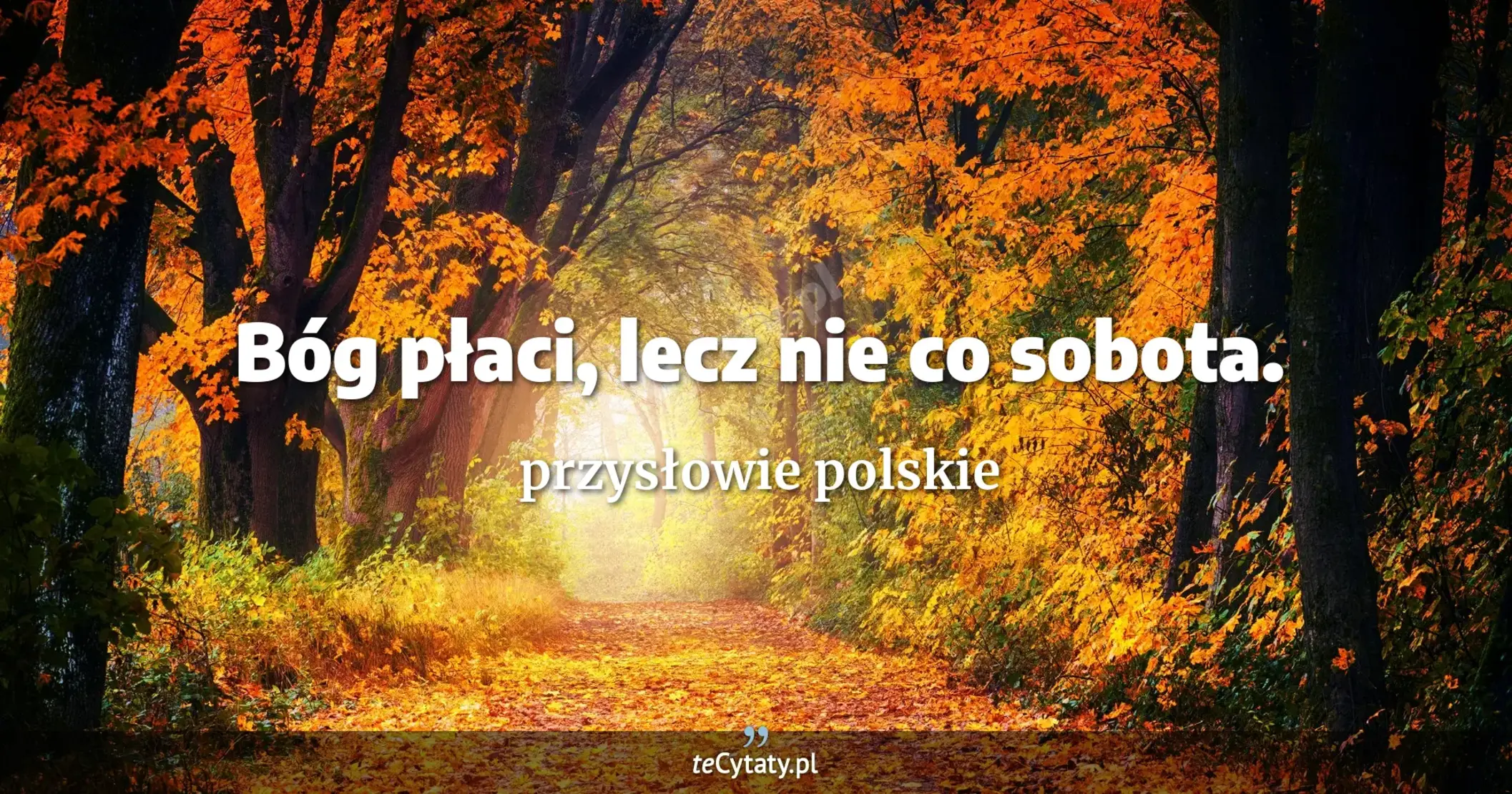 Bóg płaci, lecz nie co sobota. - przysłowie polskie
