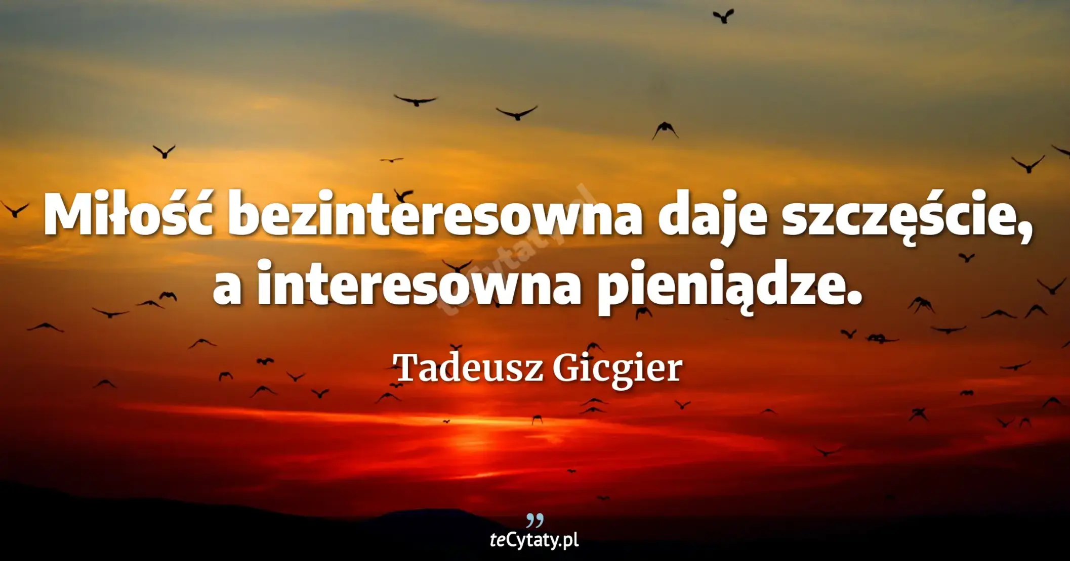 Miłość bezinteresowna daje szczęście, a interesowna pieniądze. - Tadeusz Gicgier