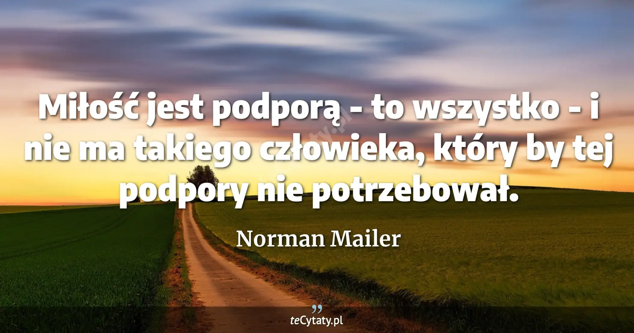 Miłość jest podporą - to wszystko - i nie ma takiego człowieka, który by tej podpory nie potrzebował. - Norman Mailer