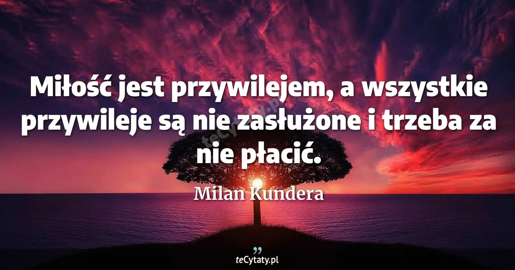 Miłość jest przywilejem, a wszystkie przywileje są nie zasłużone i trzeba za nie płacić. - Milan Kundera