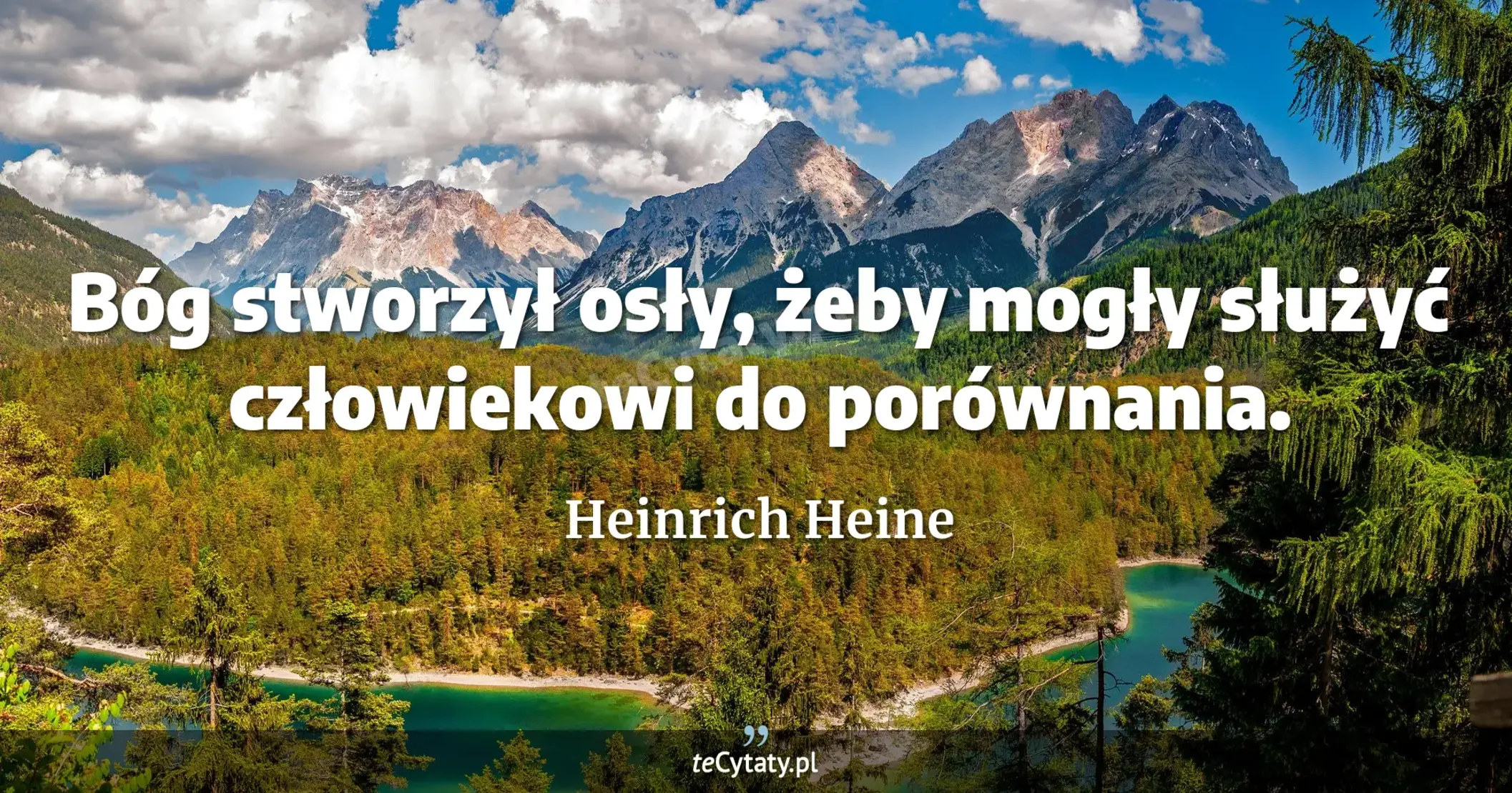 Bóg stworzył osły, żeby mogły służyć człowiekowi do porównania. - Heinrich Heine