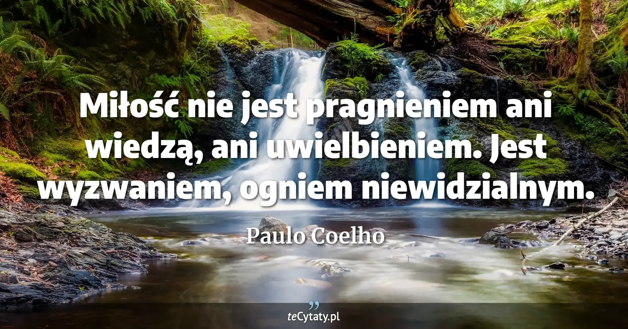 Miłość nie jest pragnieniem ani wiedzą, ani uwielbieniem. Jest wyzwaniem, ogniem niewidzialnym. - Paulo Coelho