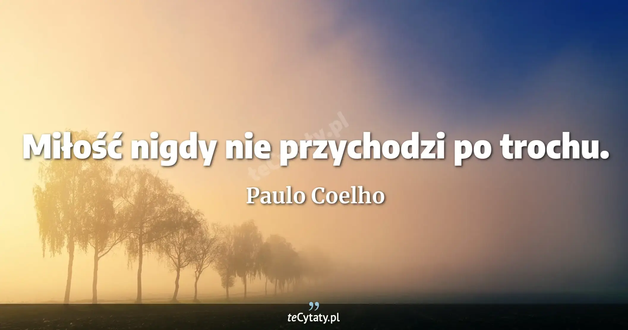 Miłość nigdy nie przychodzi po trochu. - Paulo Coelho