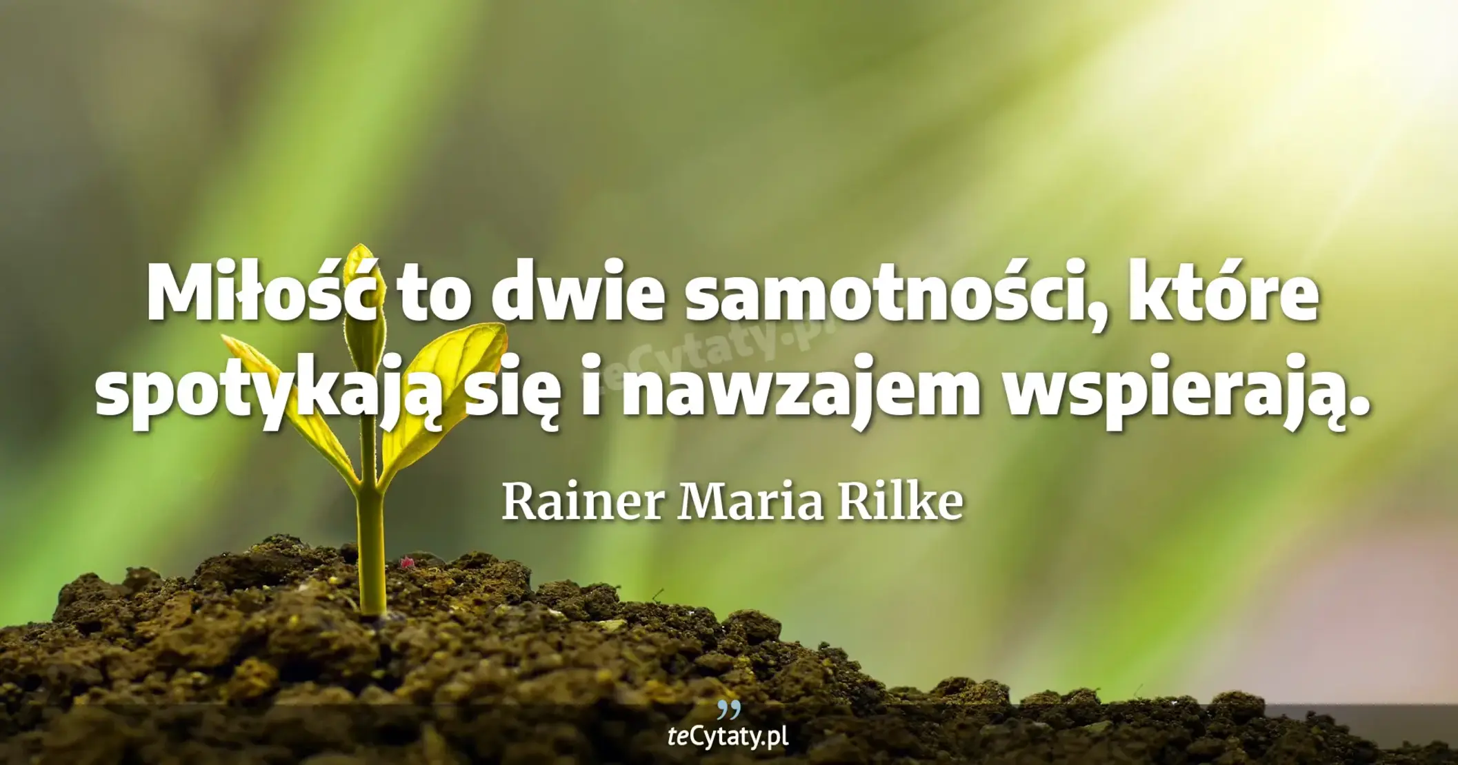 Miłość to dwie samotności, które spotykają się i nawzajem wspierają. - Rainer Maria Rilke
