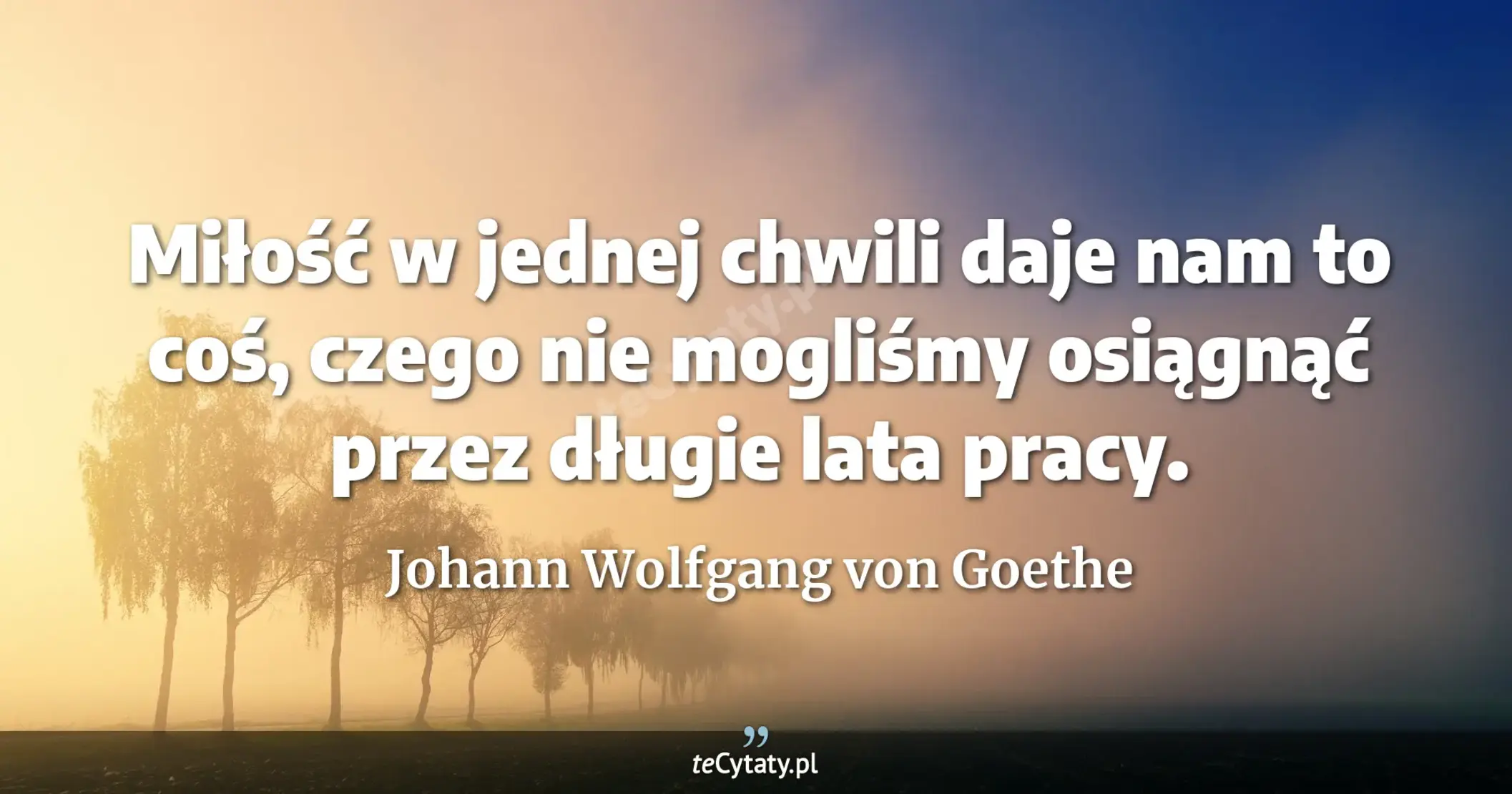 Miłość w jednej chwili daje nam to coś, czego nie mogliśmy osiągnąć przez długie lata pracy. - Johann Wolfgang von Goethe