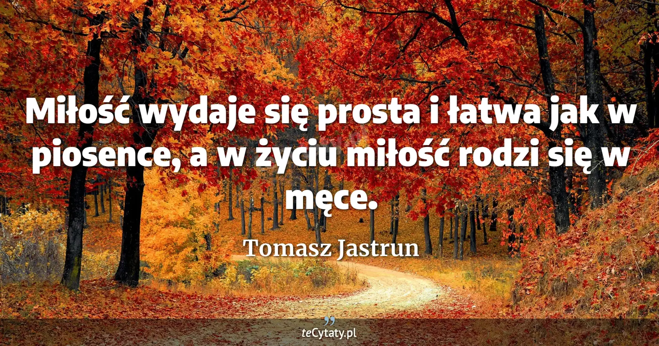 Miłość wydaje się prosta i łatwa jak w piosence, a w życiu miłość rodzi się w męce. - Tomasz Jastrun