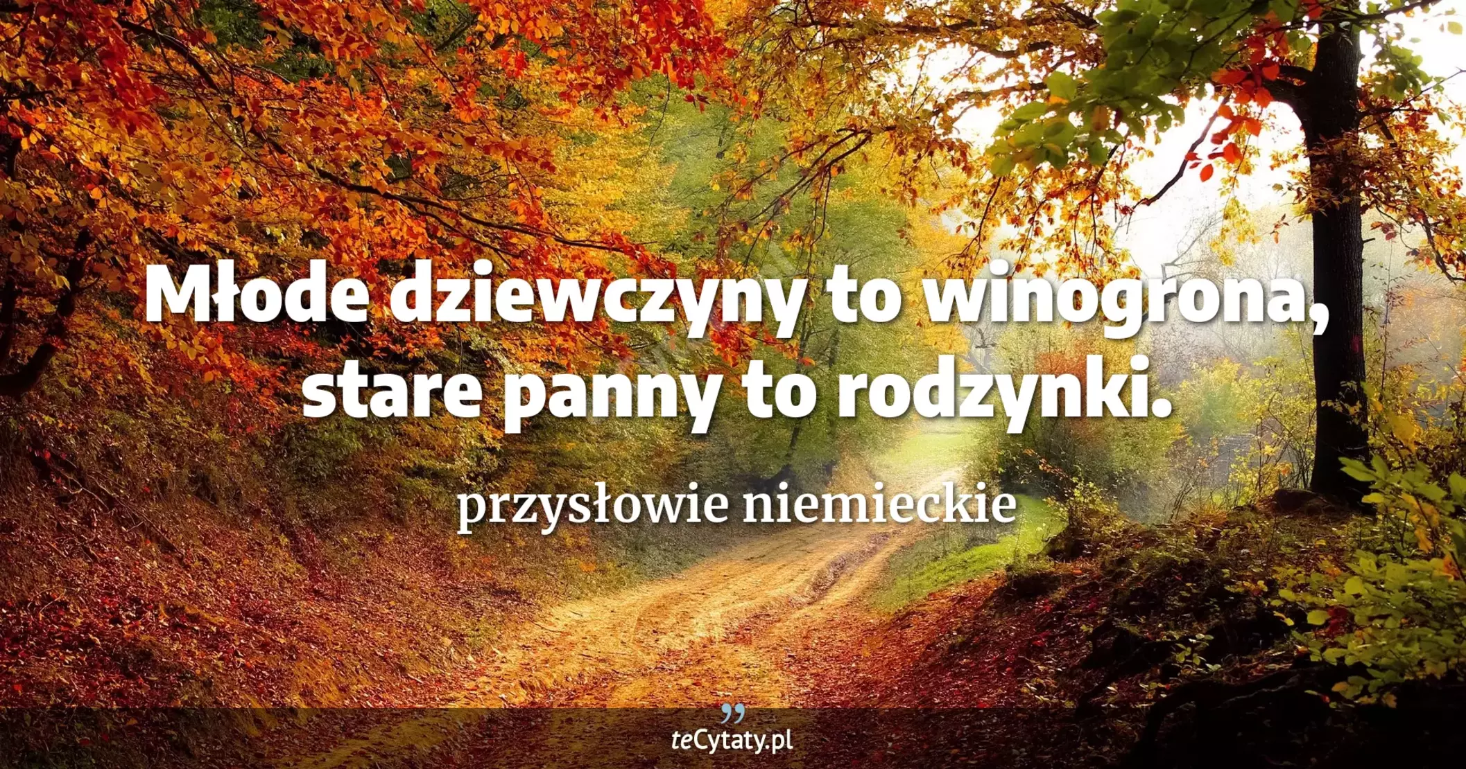 Młode dziewczyny to winogrona, stare panny to rodzynki. - przysłowie niemieckie