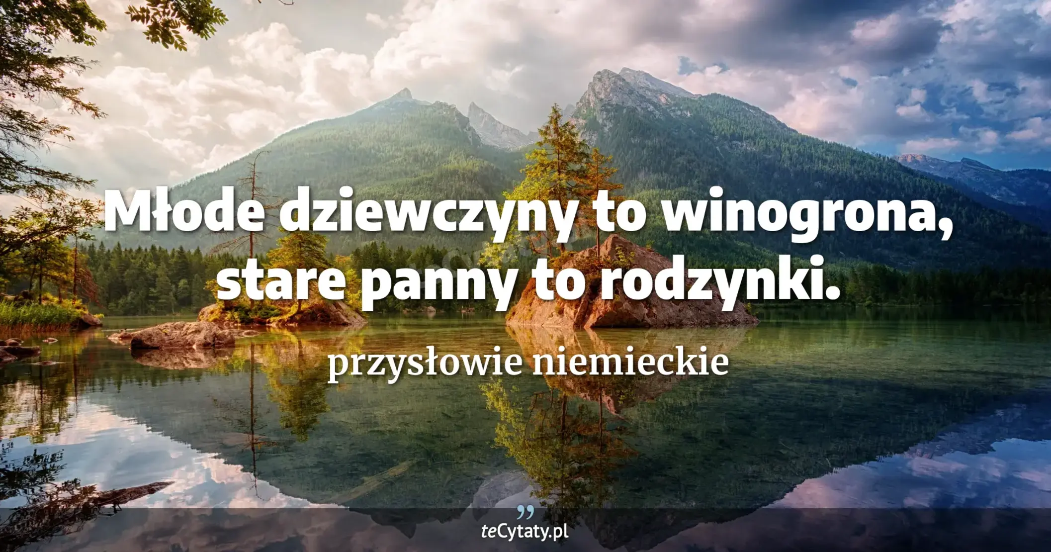 Młode dziewczyny to winogrona, stare panny to rodzynki. - przysłowie niemieckie