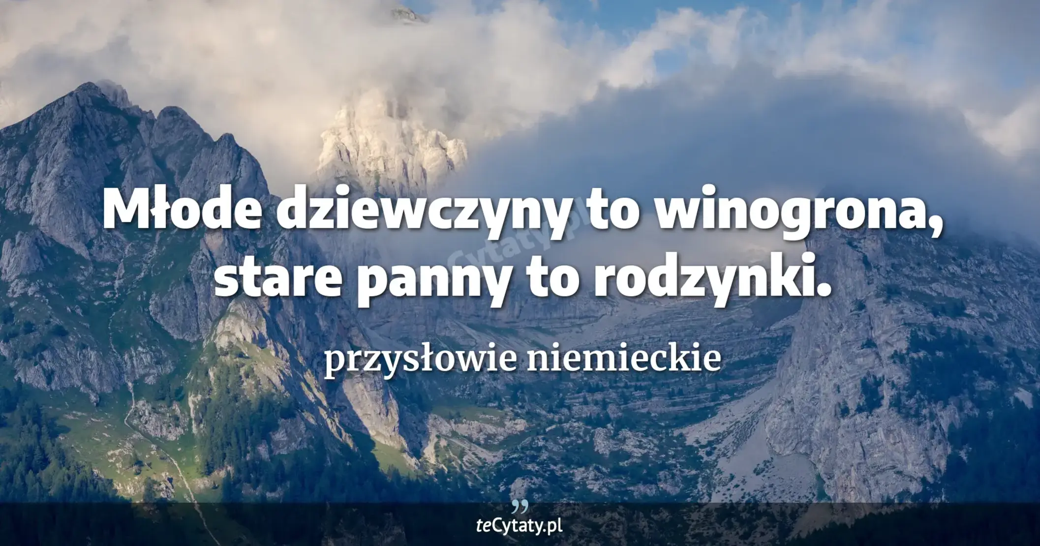 Młode dziewczyny to winogrona, stare panny to rodzynki. - przysłowie niemieckie