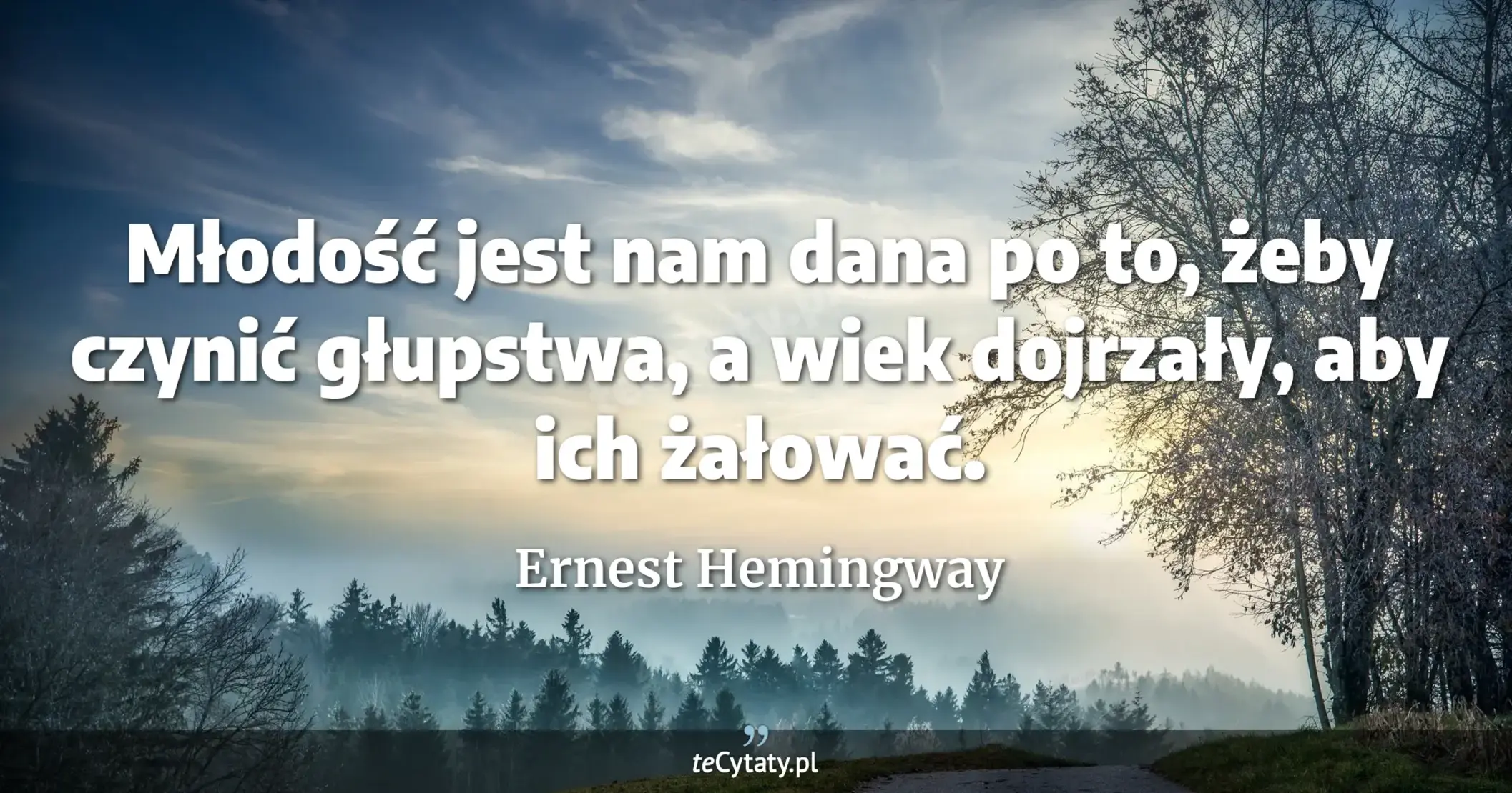 Młodość jest nam dana po to, żeby czynić głupstwa, a wiek dojrzały, aby ich żałować. - Ernest Hemingway