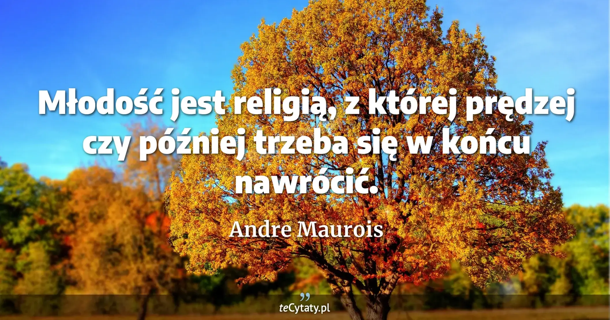 Młodość jest religią, z której prędzej czy później trzeba się w końcu nawrócić. - Andre Maurois