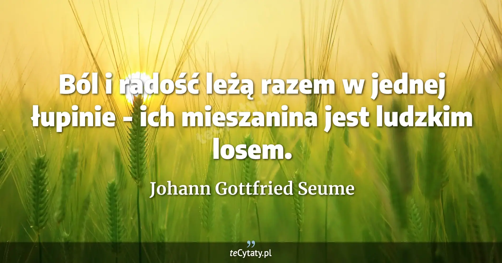 Ból i radość leżą razem w jednej łupinie - ich mieszanina jest ludzkim losem. - Johann Gottfried Seume