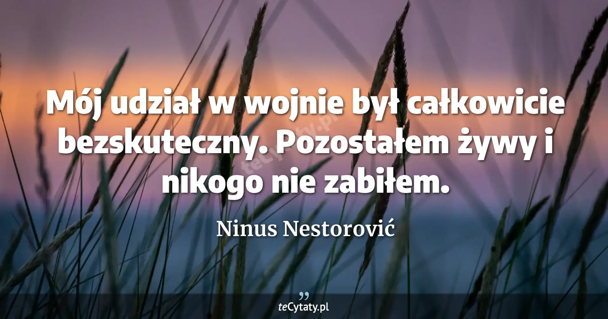 Mój udział w wojnie był całkowicie bezskuteczny. Pozostałem żywy i nikogo nie zabiłem. - Ninus Nestorović