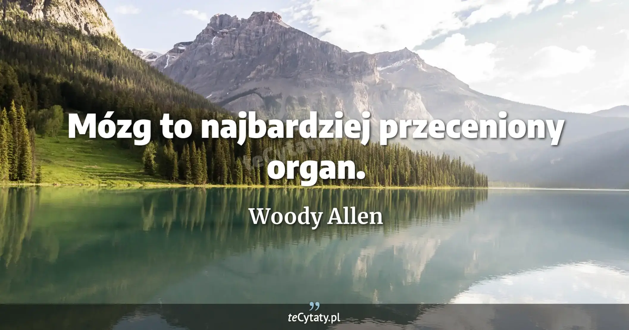 Mózg to najbardziej przeceniony organ. - Woody Allen