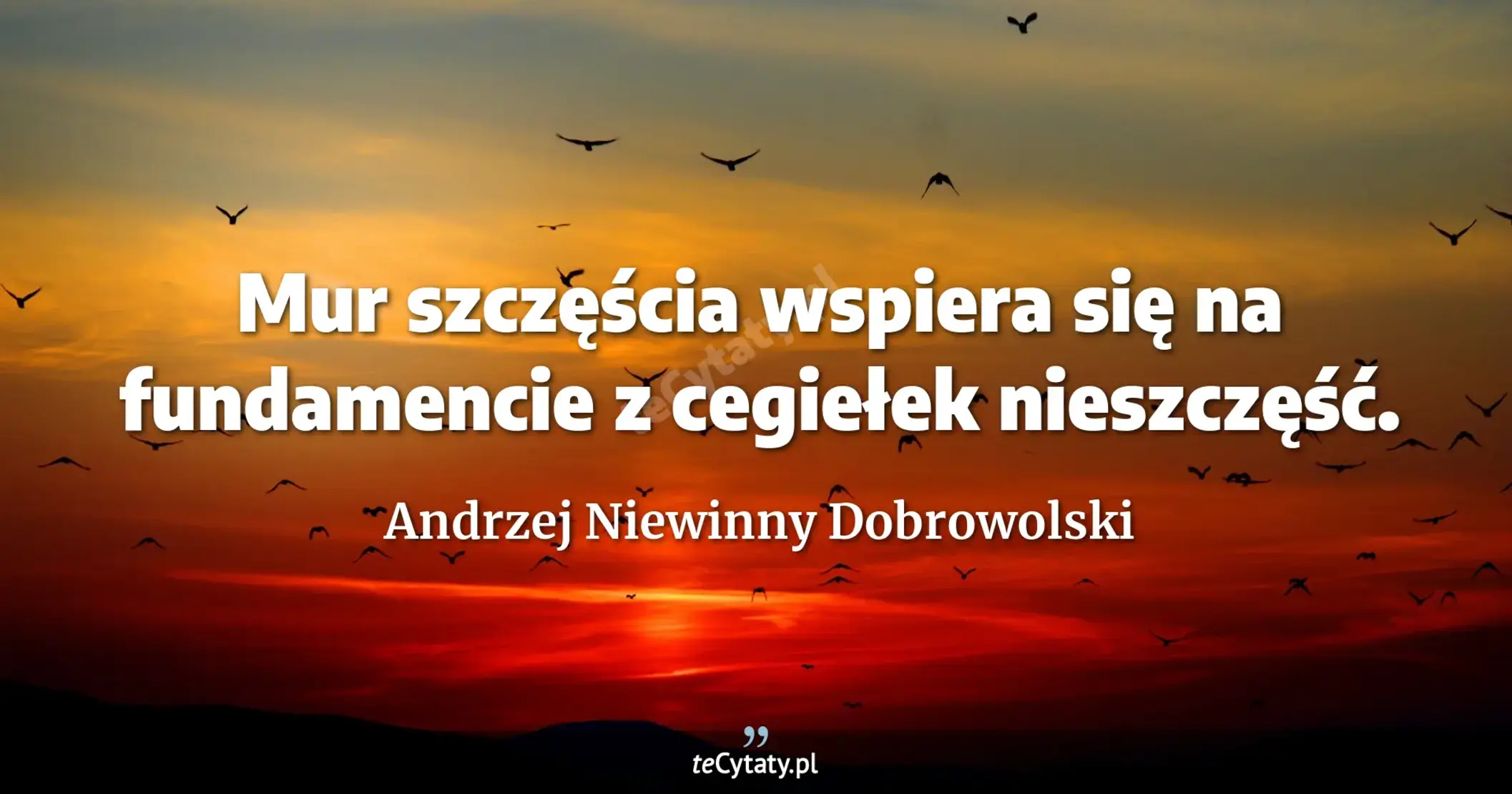 Mur szczęścia wspiera się na fundamencie z cegiełek nieszczęść. - Andrzej Niewinny Dobrowolski