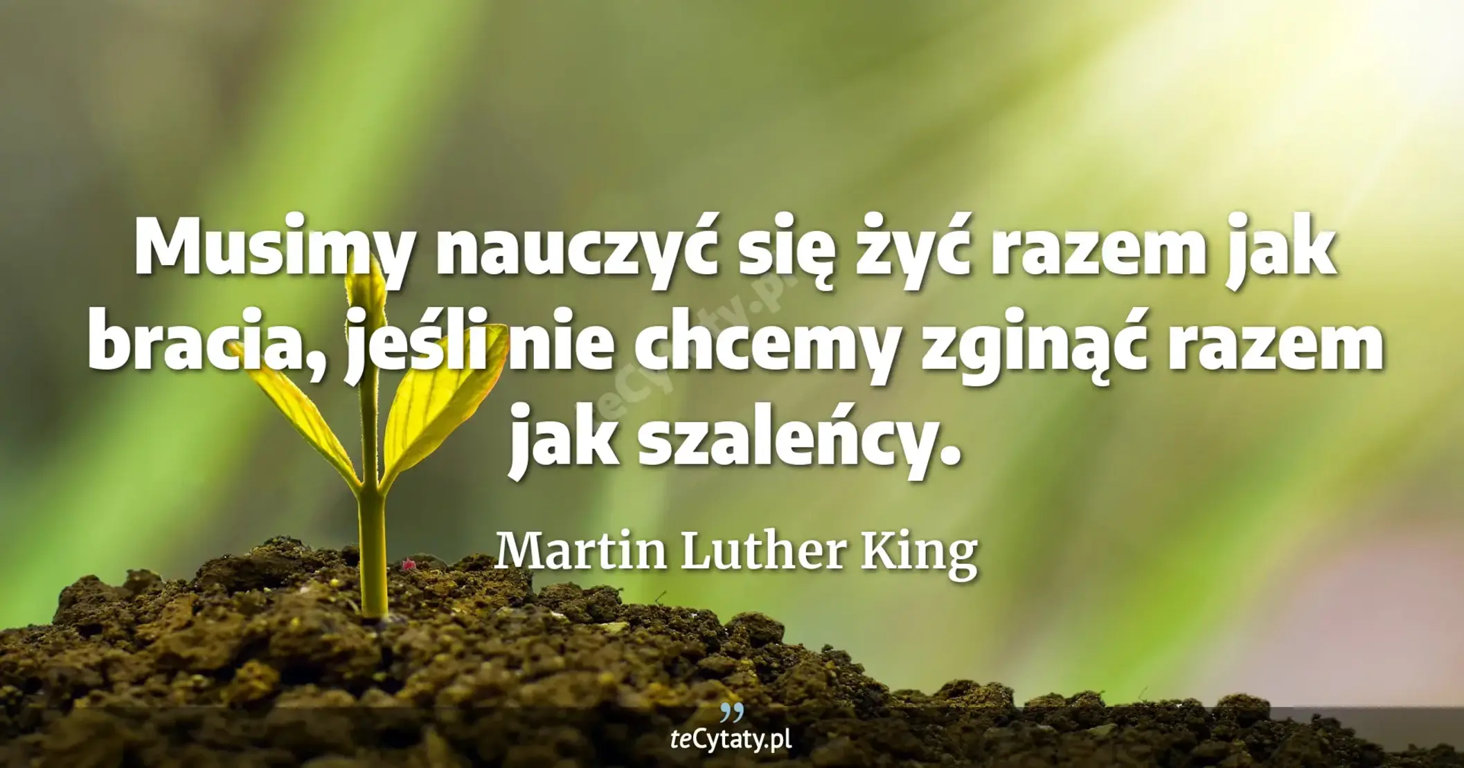 Musimy nauczyć się żyć razem jak bracia, jeśli nie chcemy zginąć razem jak szaleńcy. - Martin Luther King