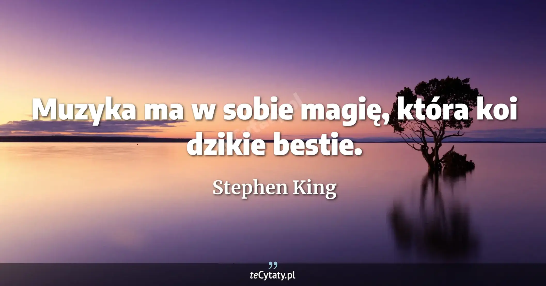 Muzyka ma w sobie magię, która koi dzikie bestie. - Stephen King