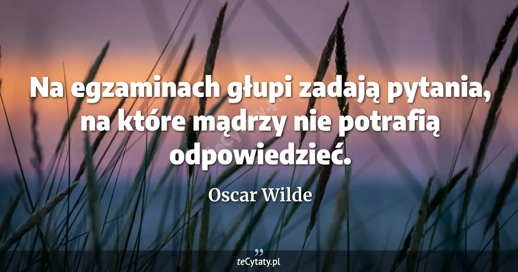 Na egzaminach głupi zadają pytania, na które mądrzy nie potrafią odpowiedzieć. - Oscar Wilde