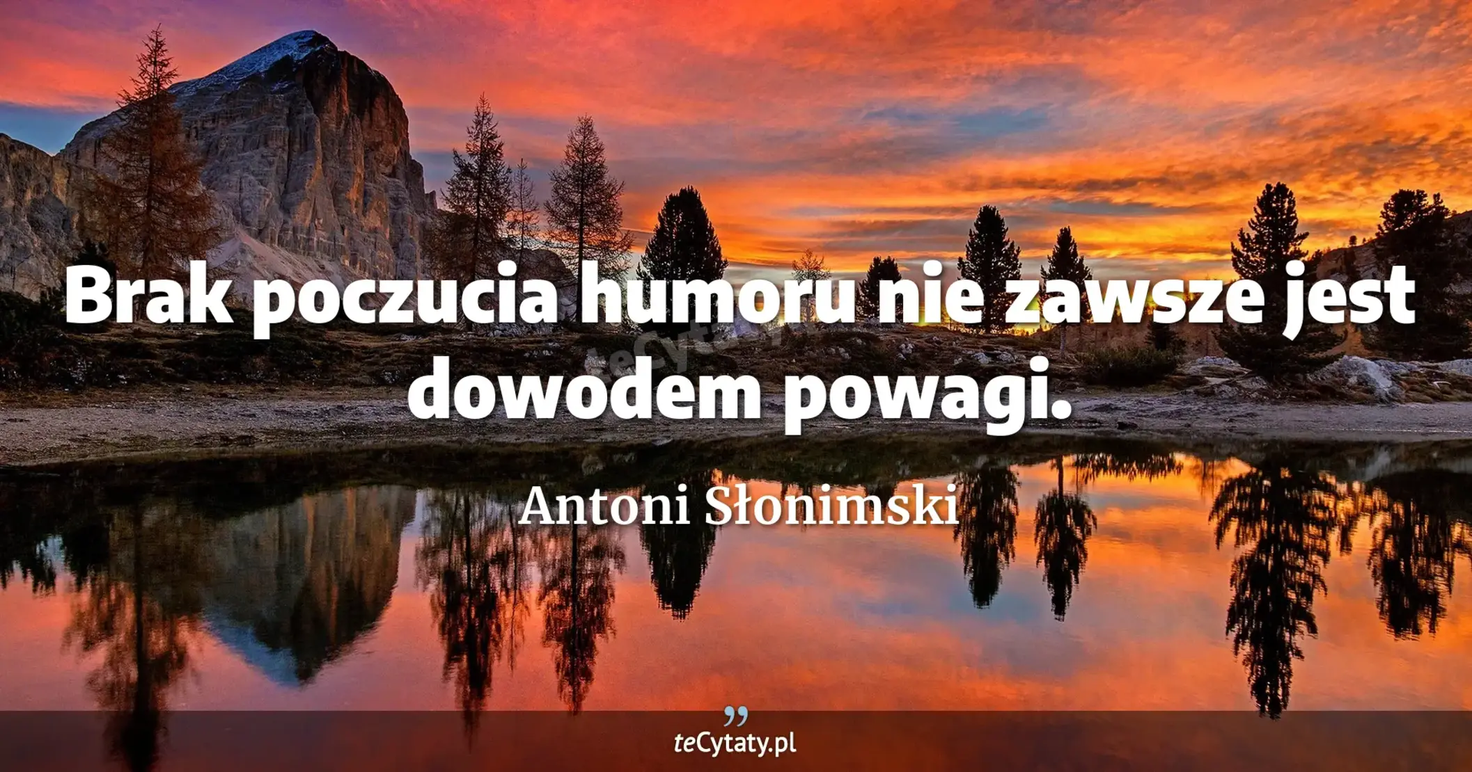 Brak poczucia humoru nie zawsze jest dowodem powagi. - Antoni Słonimski