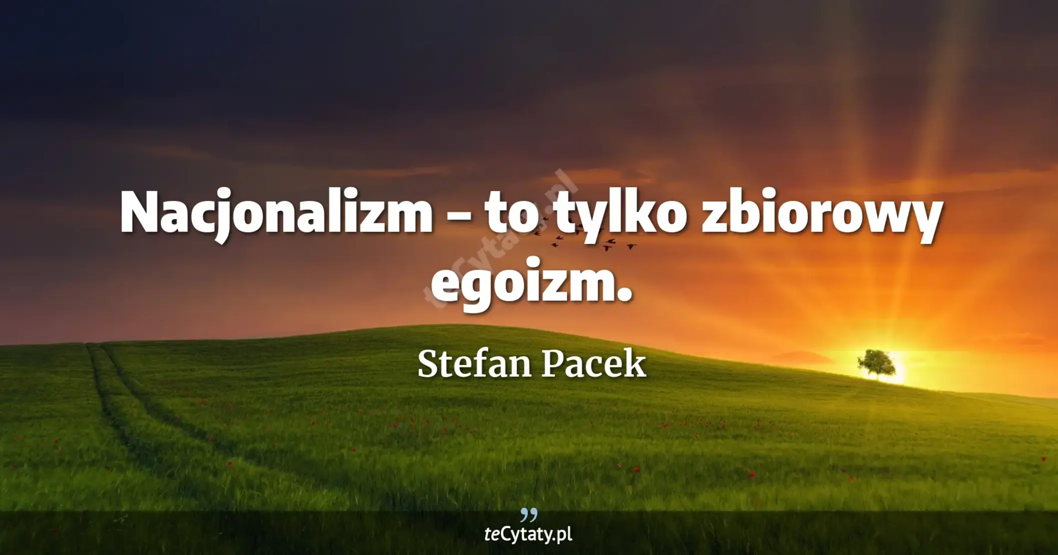 Nacjonalizm – to tylko zbiorowy egoizm. - Stefan Pacek