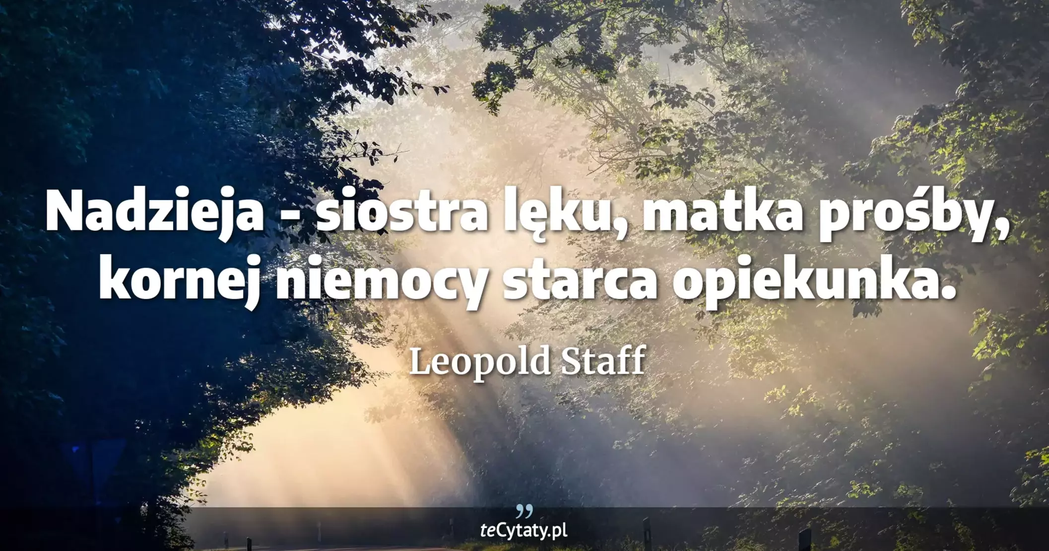 Nadzieja - siostra lęku, matka prośby, kornej niemocy starca opiekunka. - Leopold Staff