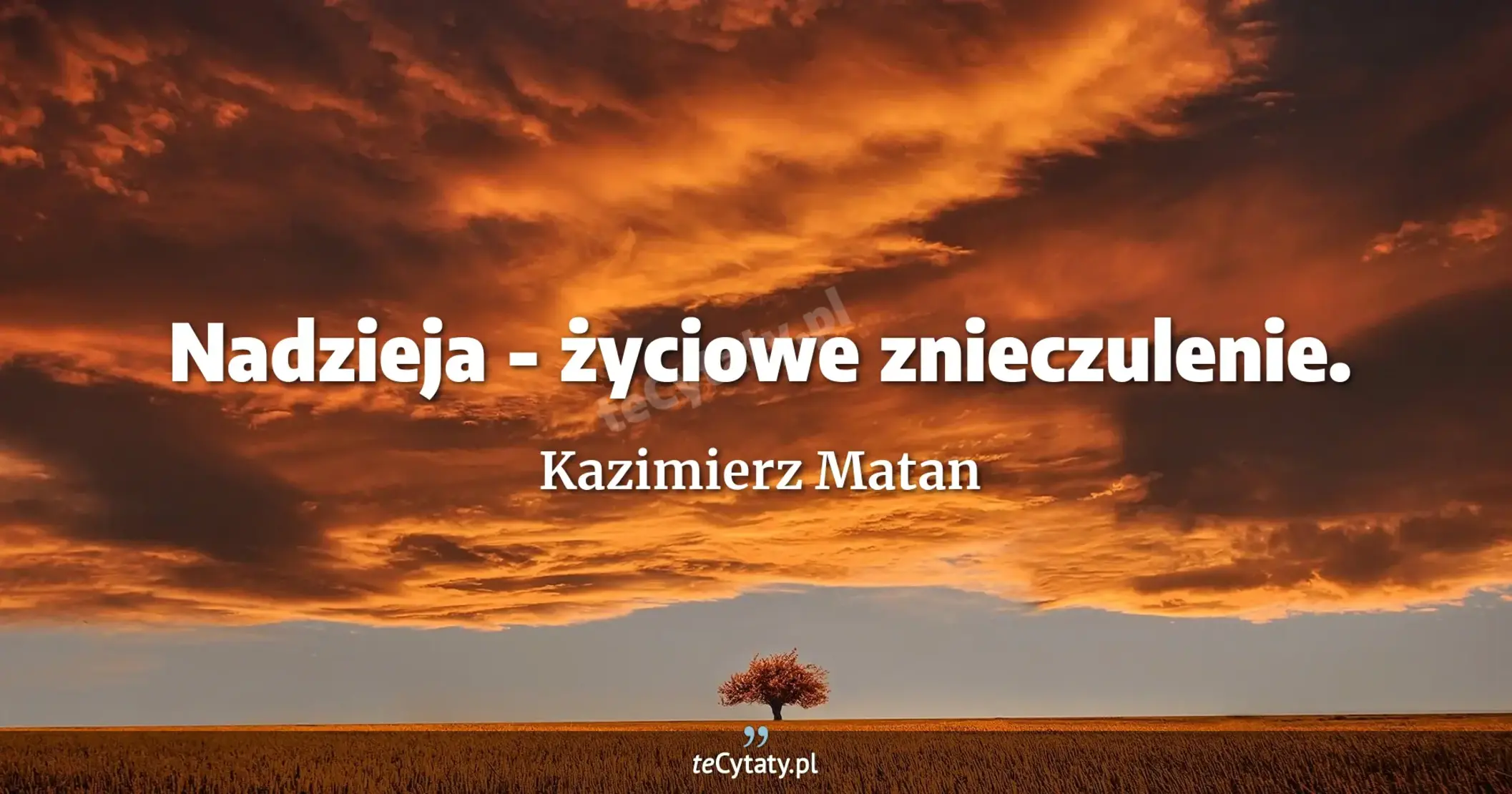Nadzieja - życiowe znieczulenie. - Kazimierz Matan